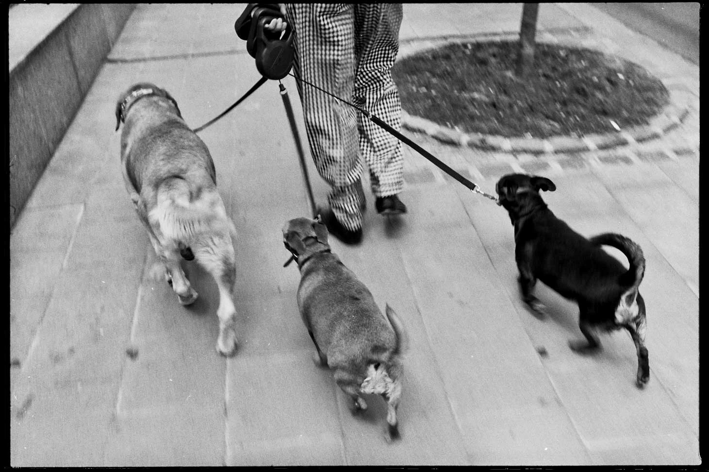 luxembourg-1995-street-photography-nader-ghavami-8
