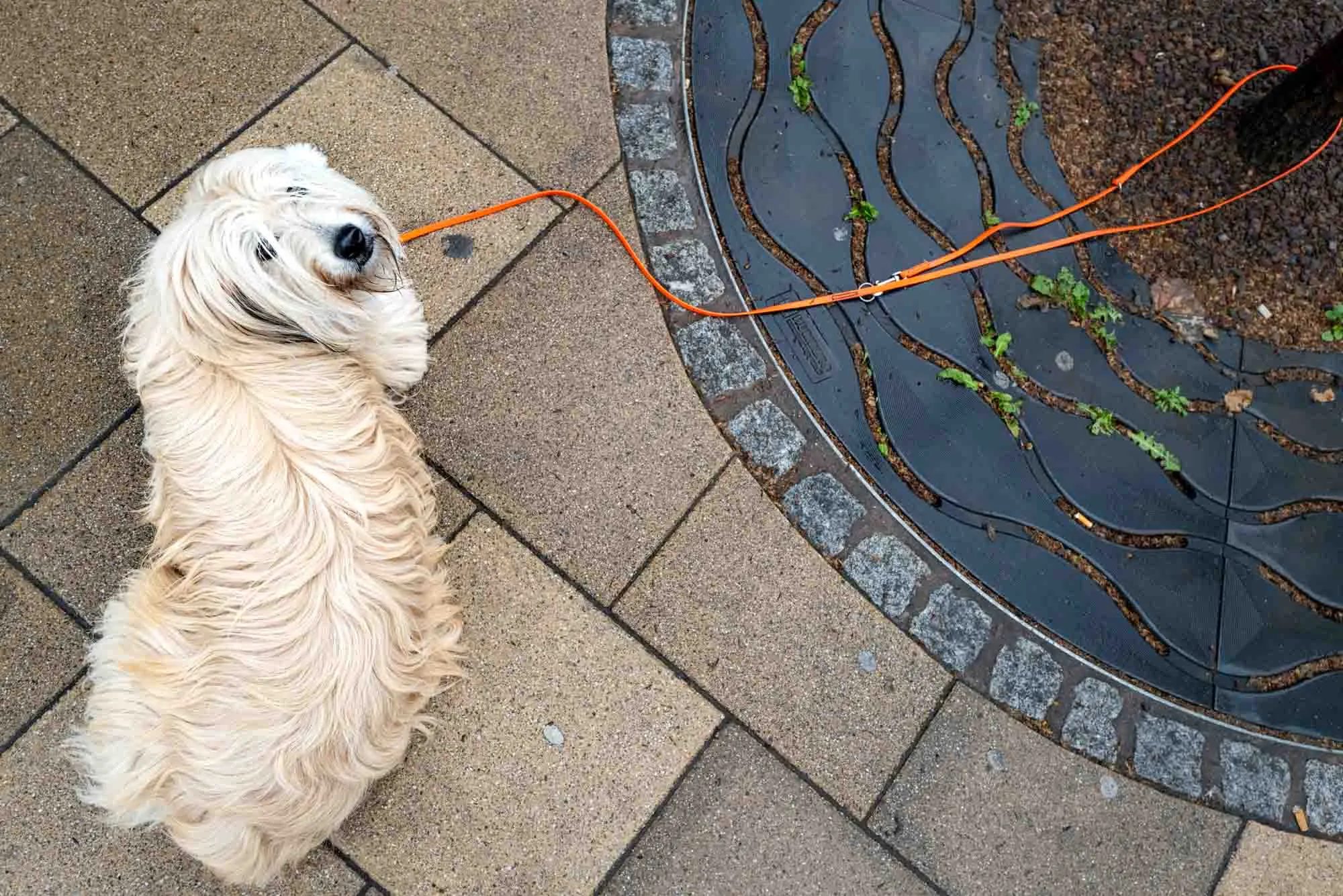 non-analog-street-photo-24