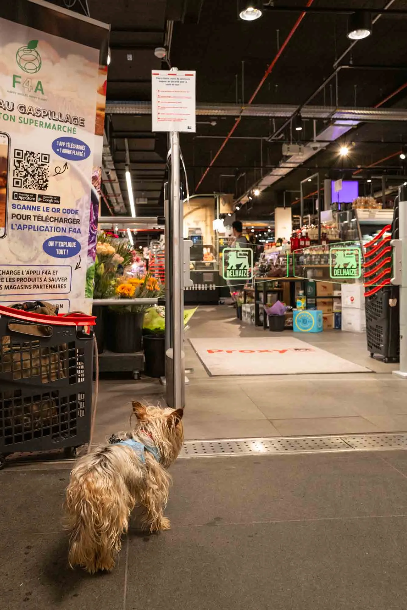 non-analog-street-photo-31