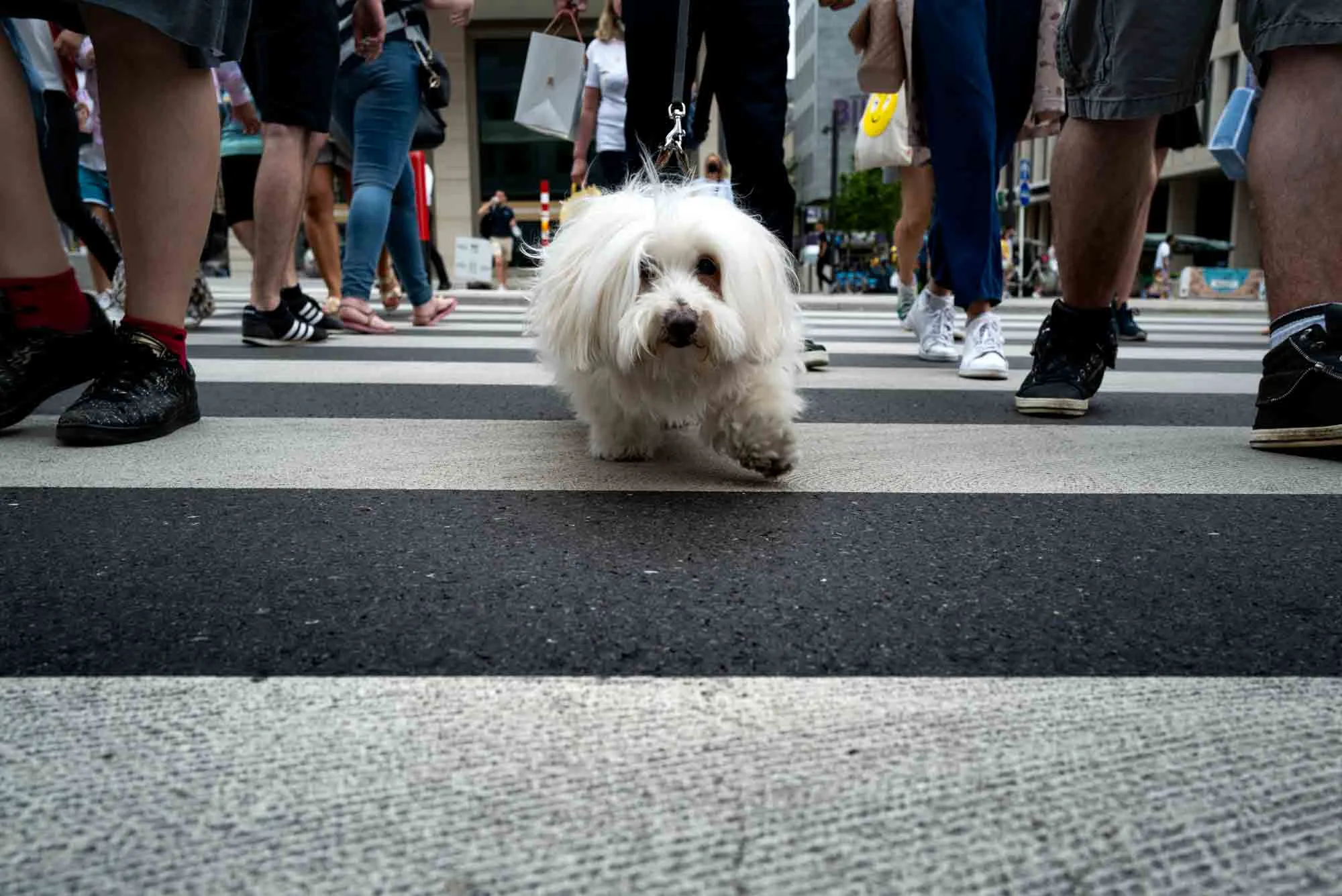 non-analog-street-photo-35