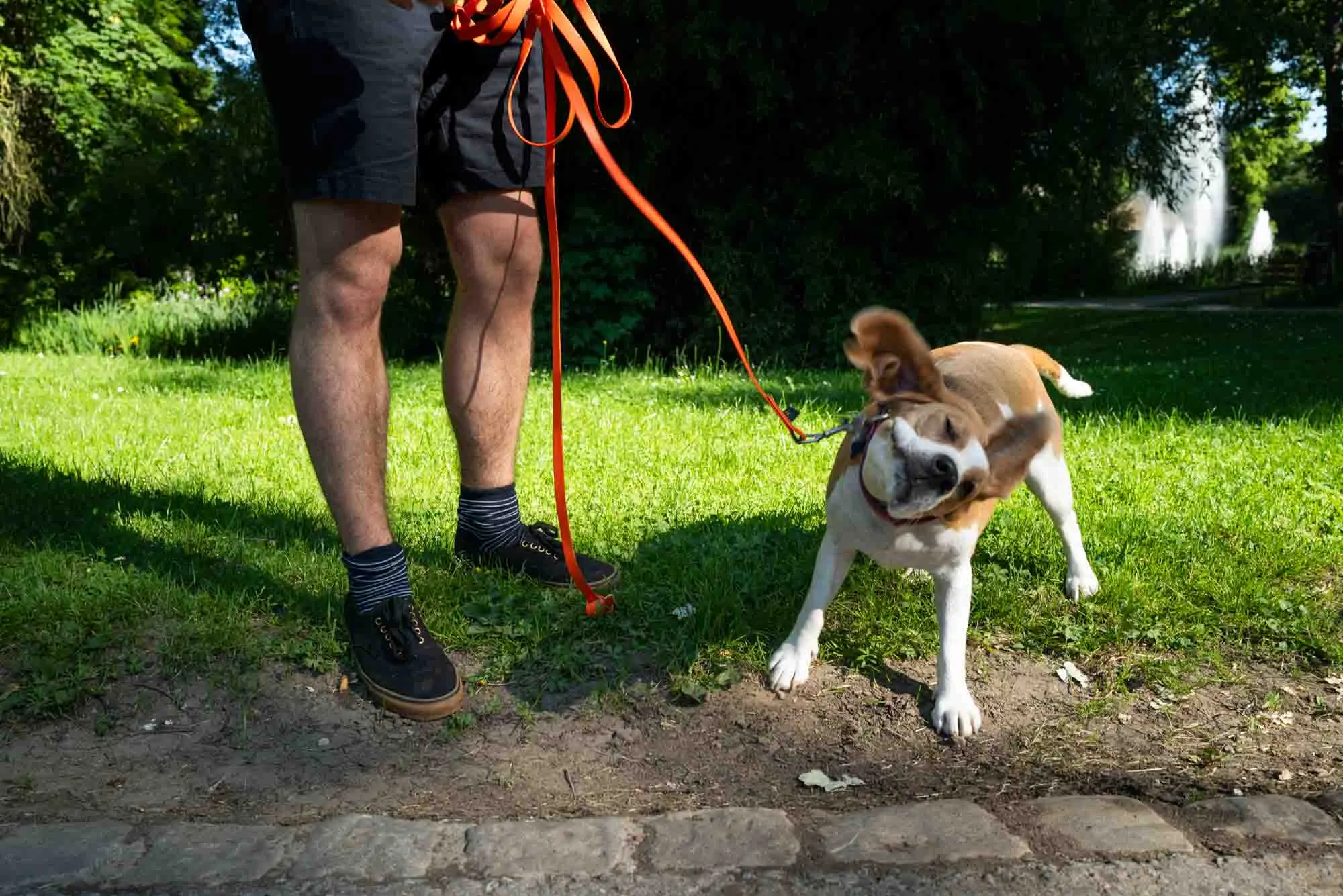 non-analog-street-photo-36