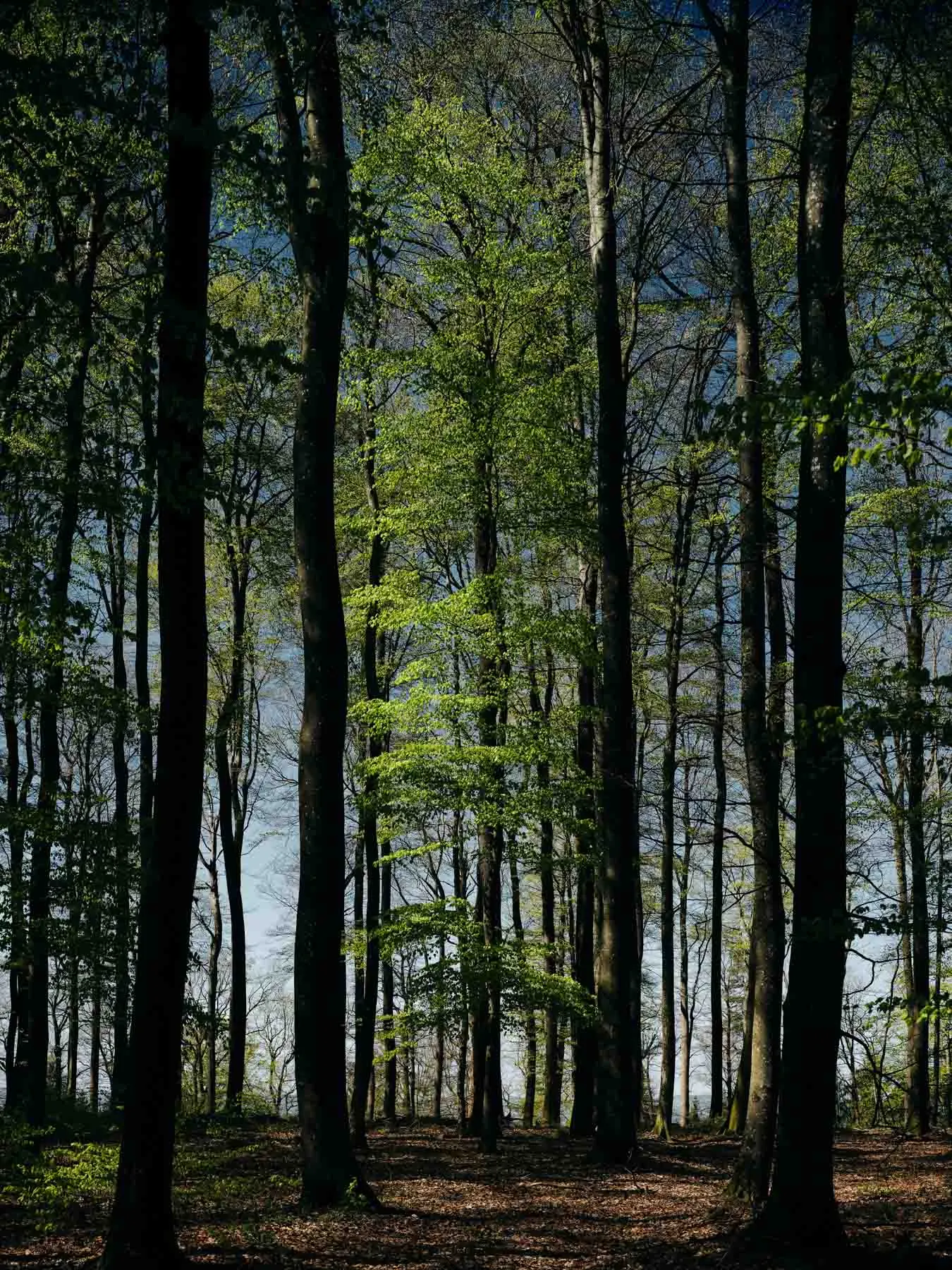 paysages-nature-urbain-10