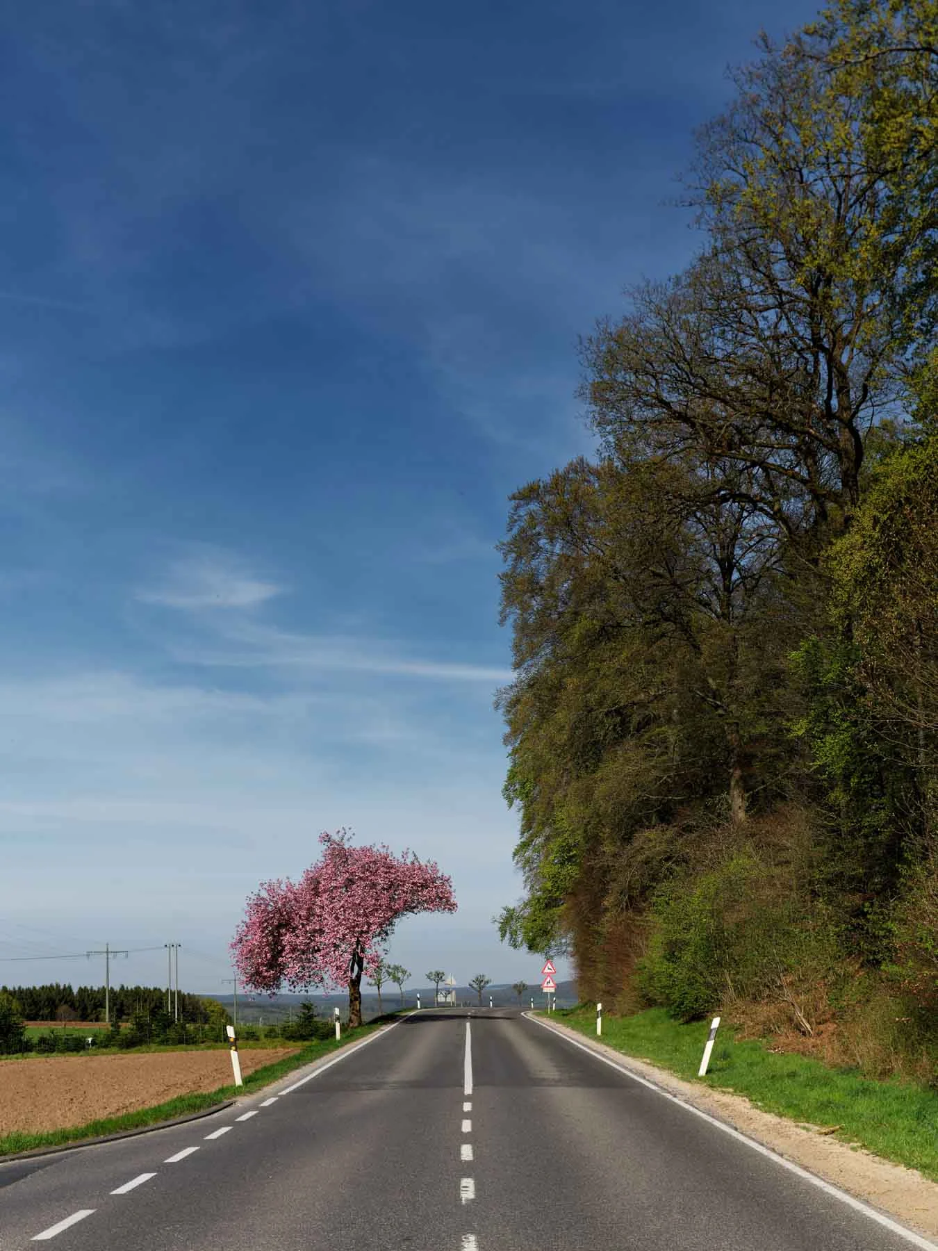 paysages-nature-urbain-11