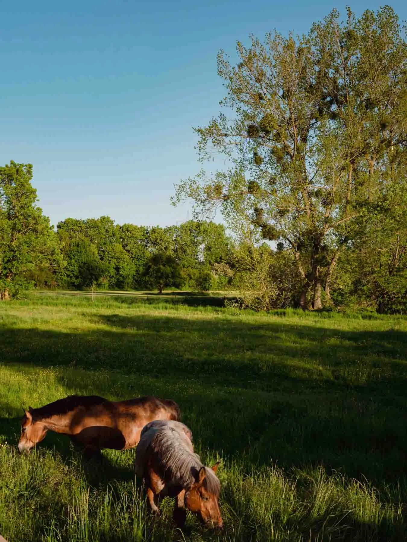 paysages-nature-urbain-15