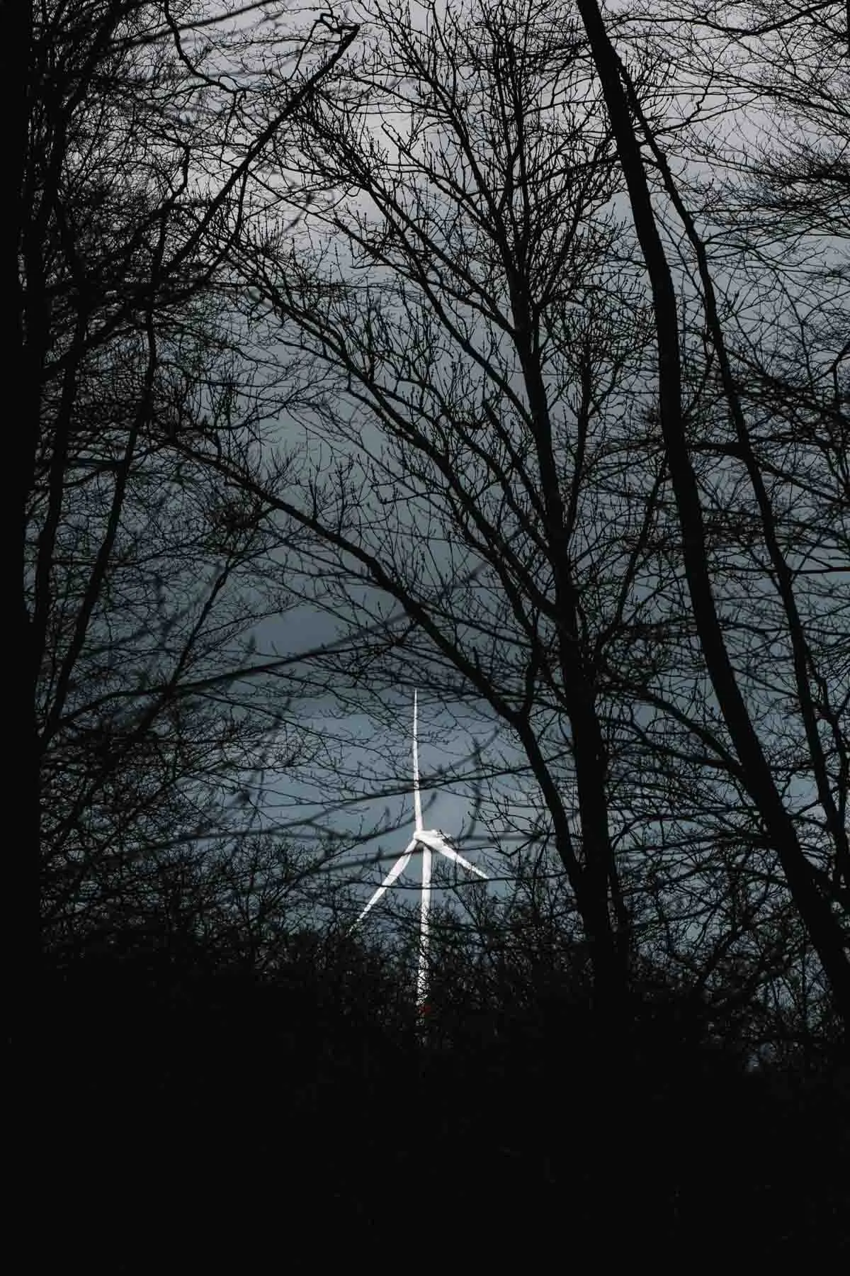 paysages-nature-urbain-20