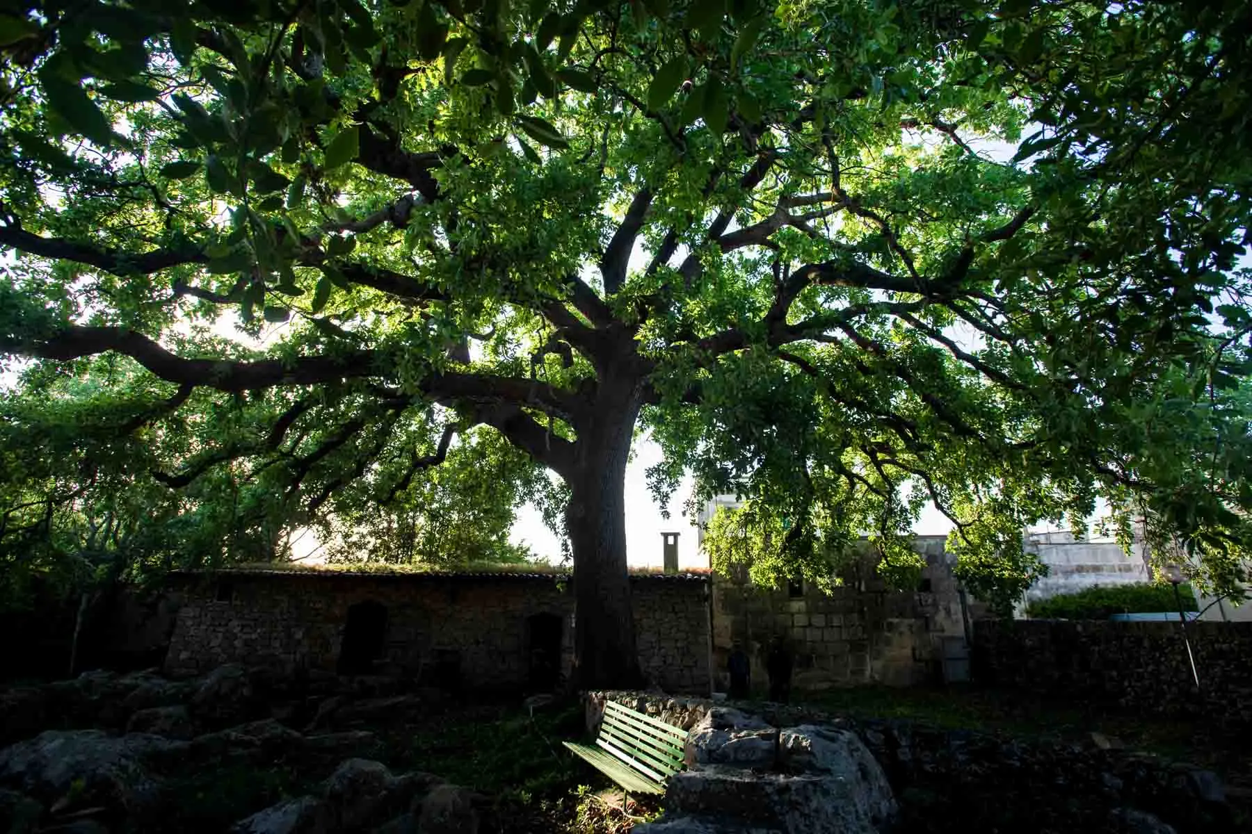 paysages-nature-urbain-21