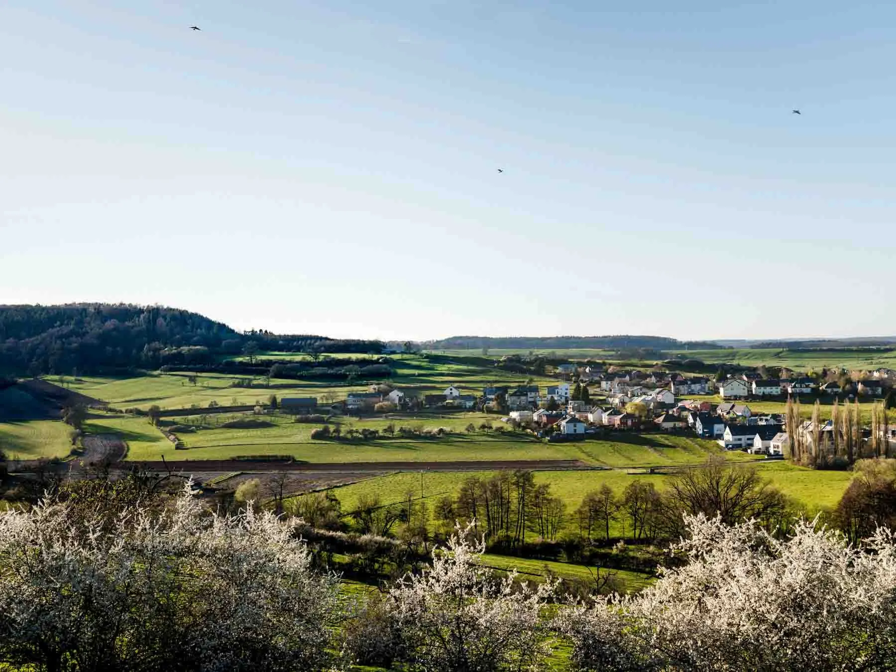 paysages-nature-urbain-25