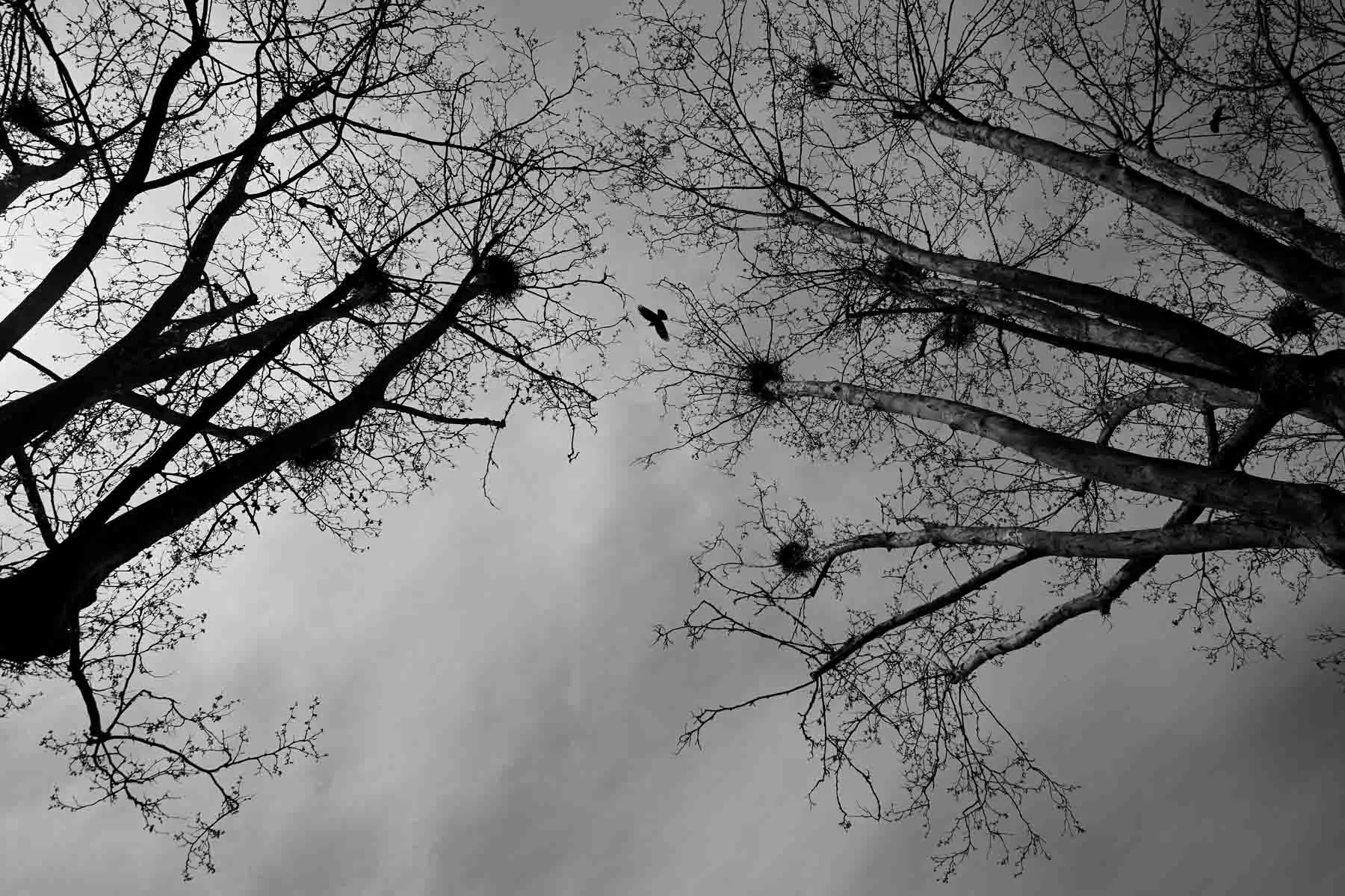 paysages-nature-urbain-26