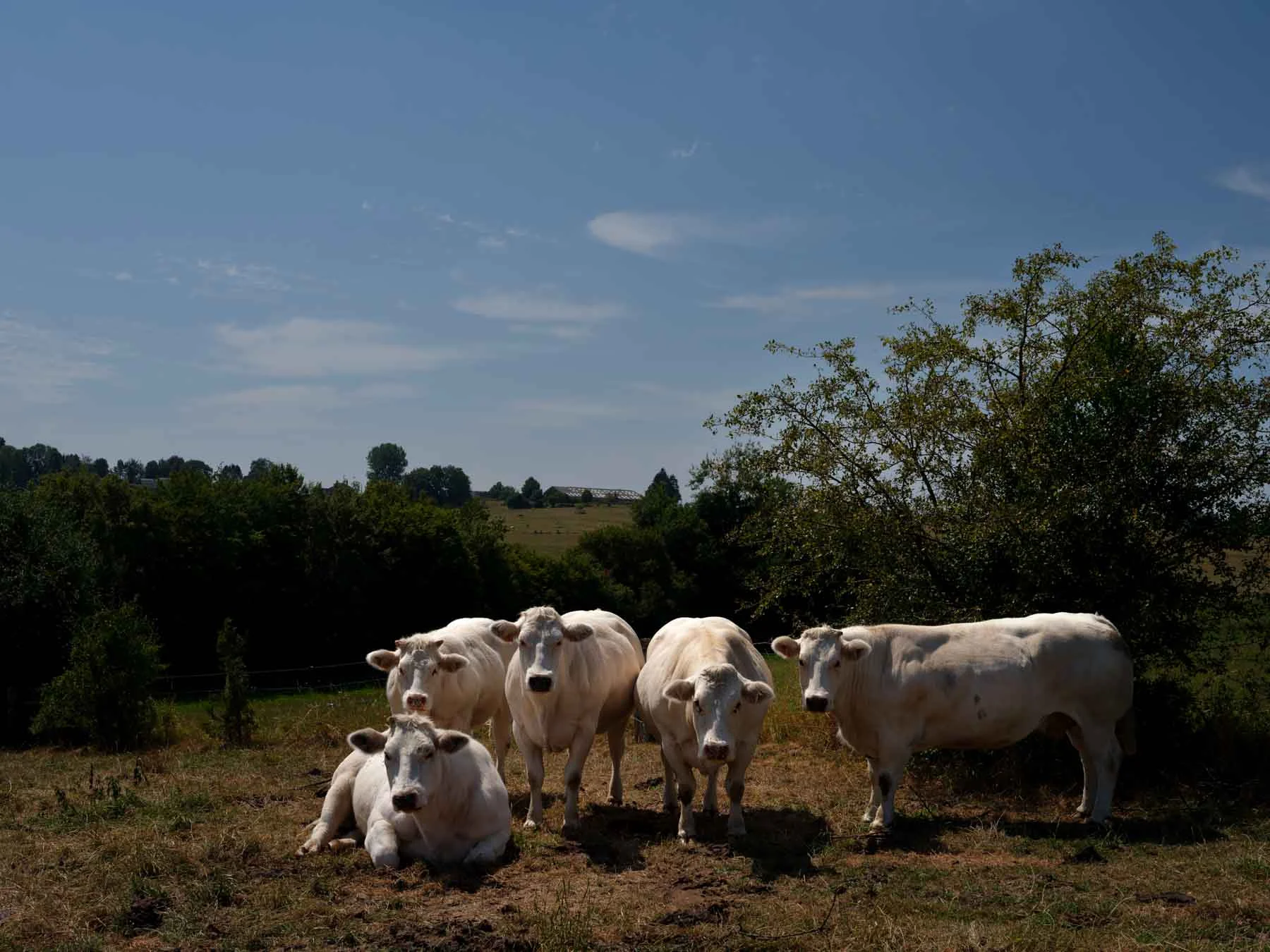 paysages-nature-urbain-33