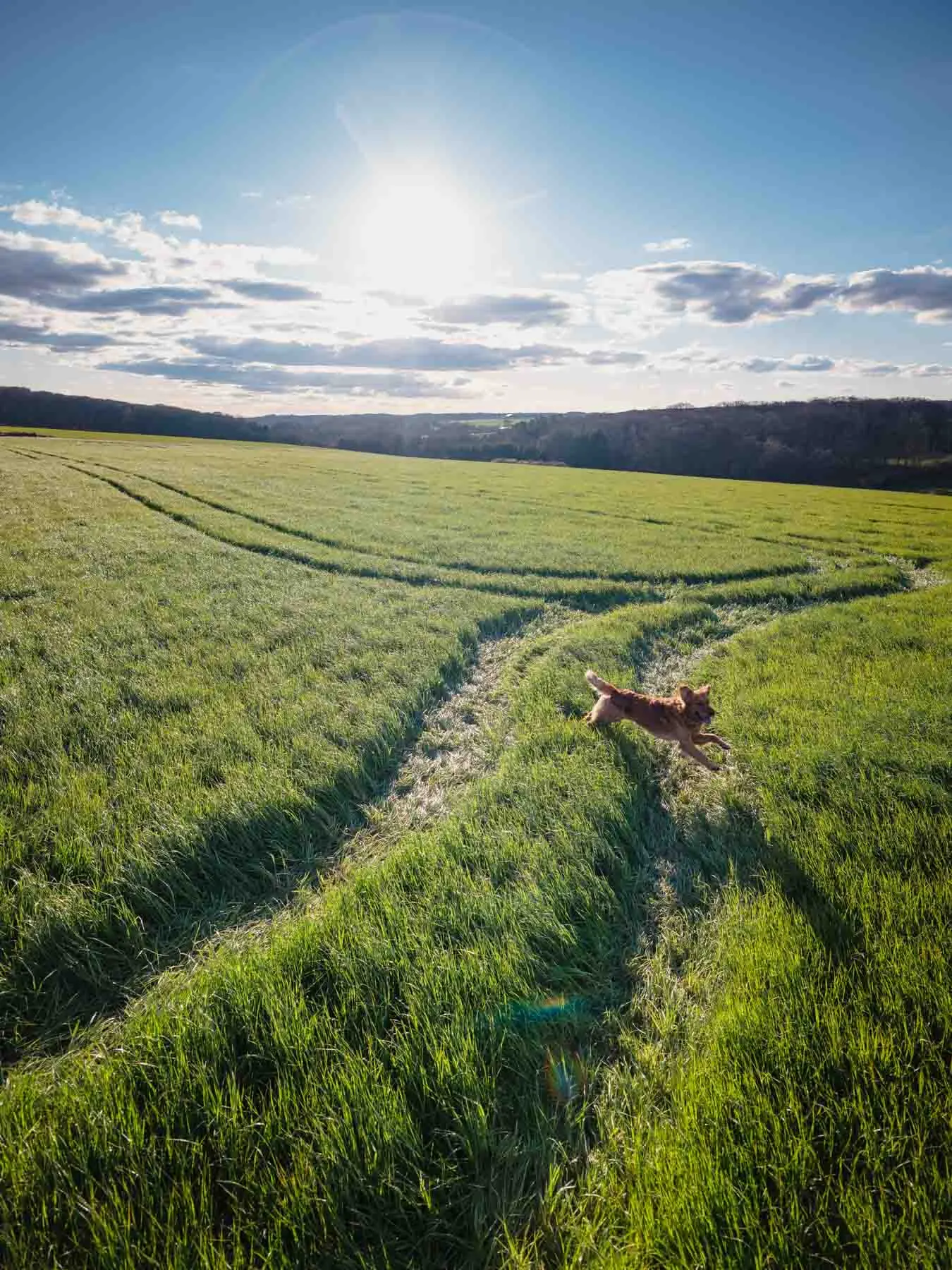 paysages-nature-urbain-5