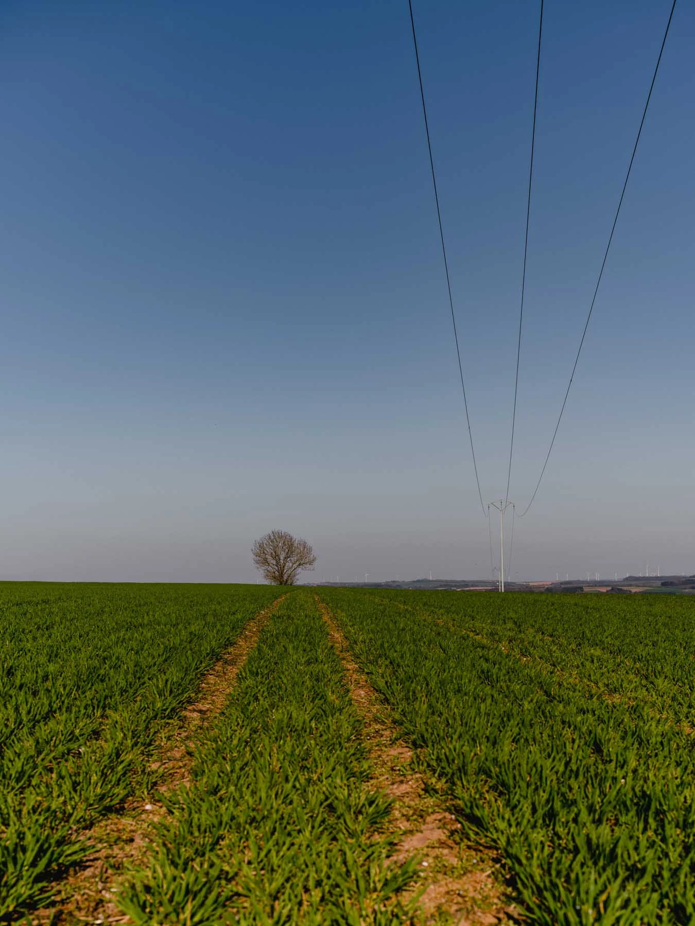 paysages-nature-urbain-6