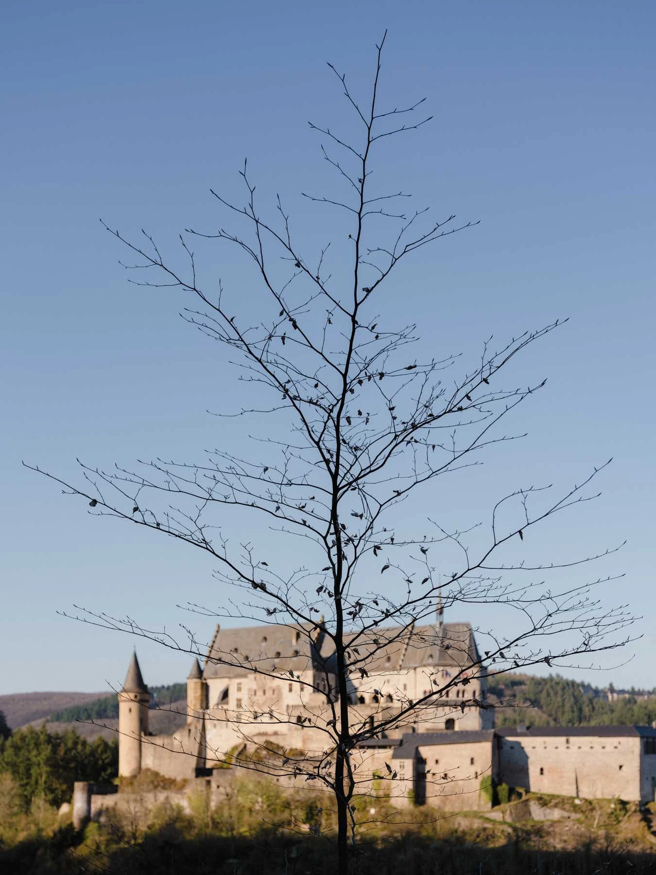 paysages-nature-urbain-7