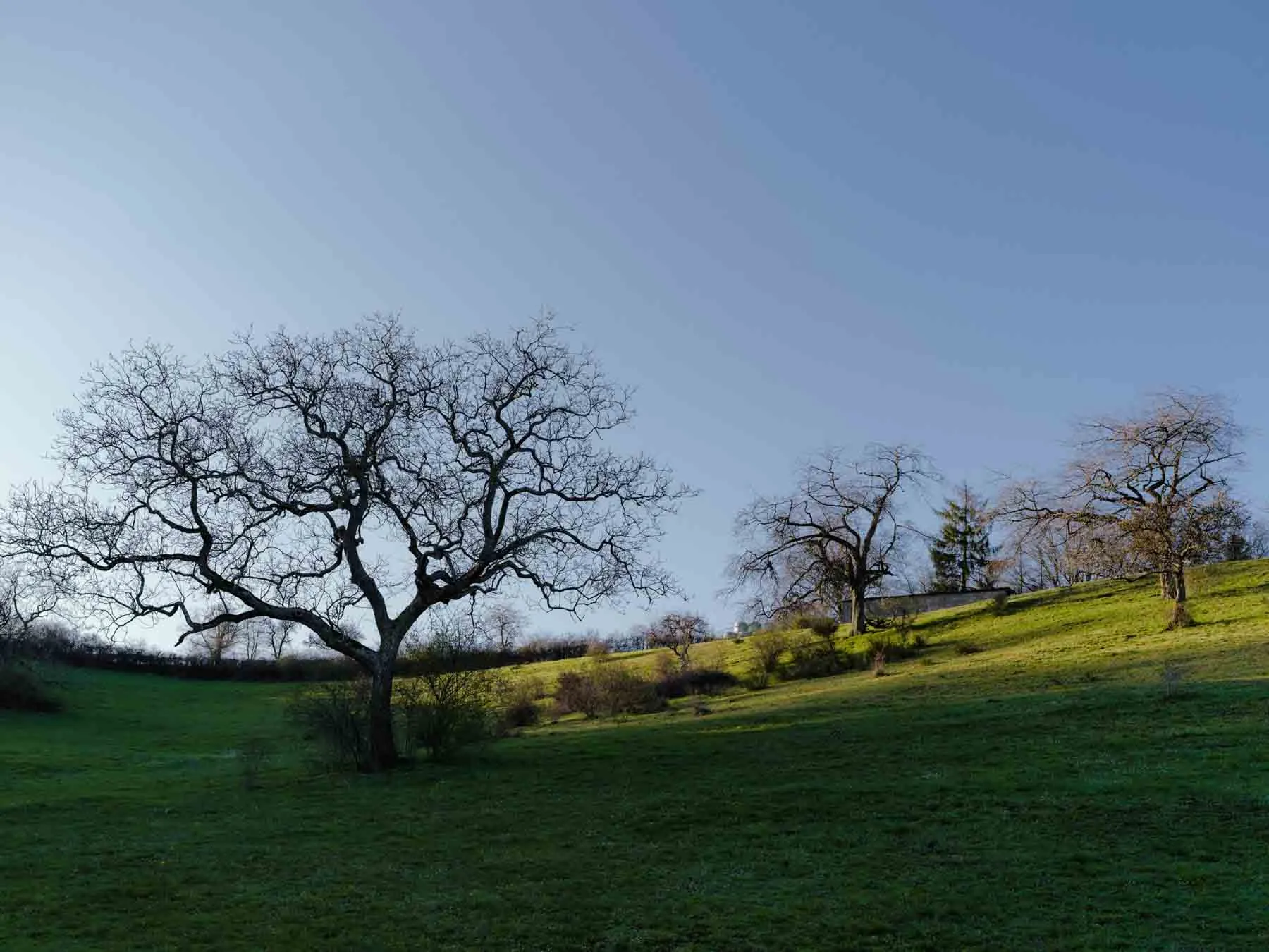 paysages-nature-urbain-8