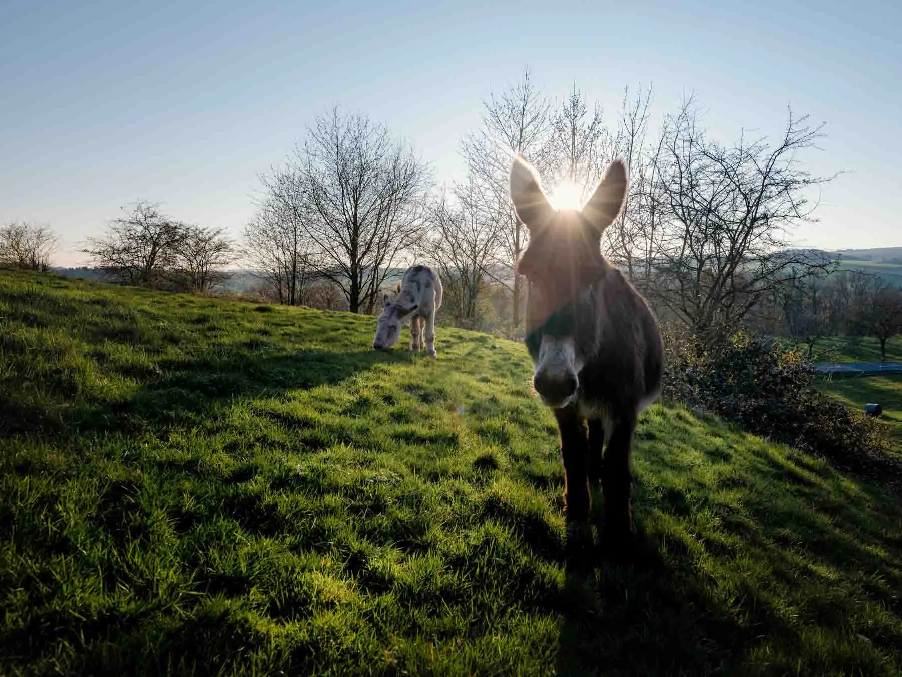 paysages-nature-urbain-9