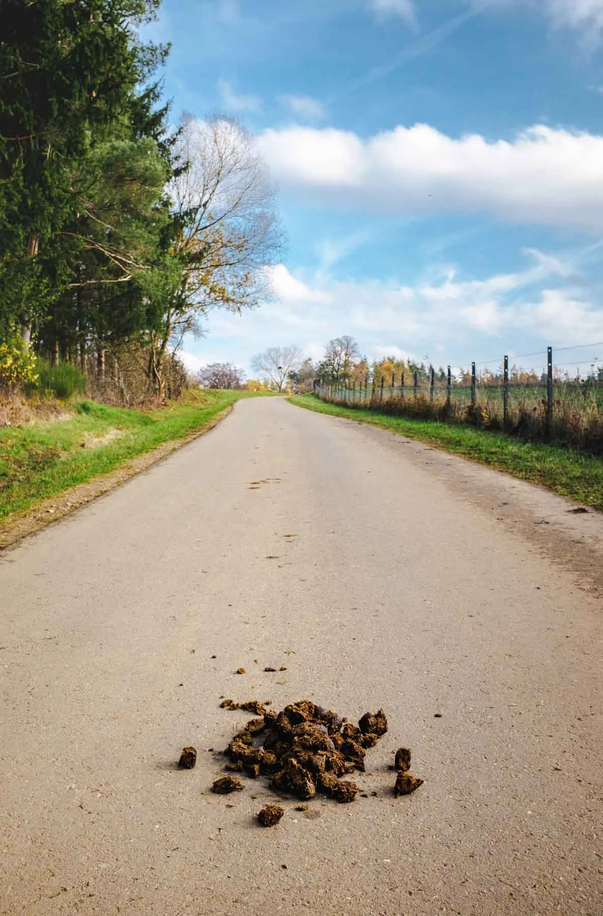 paysages-promenade-hebdomadaire-1