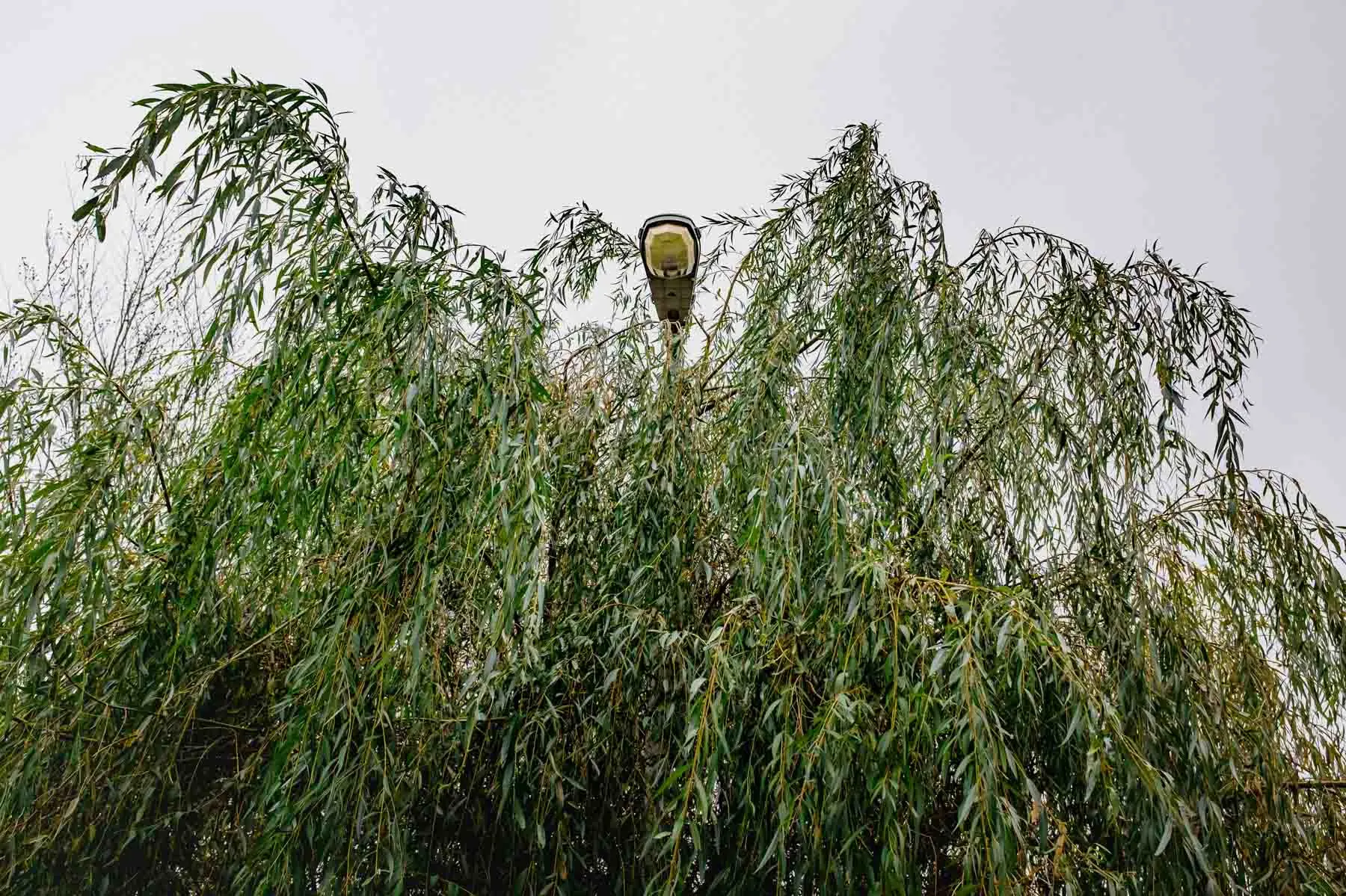 paysages-promenade-hebdomadaire-10