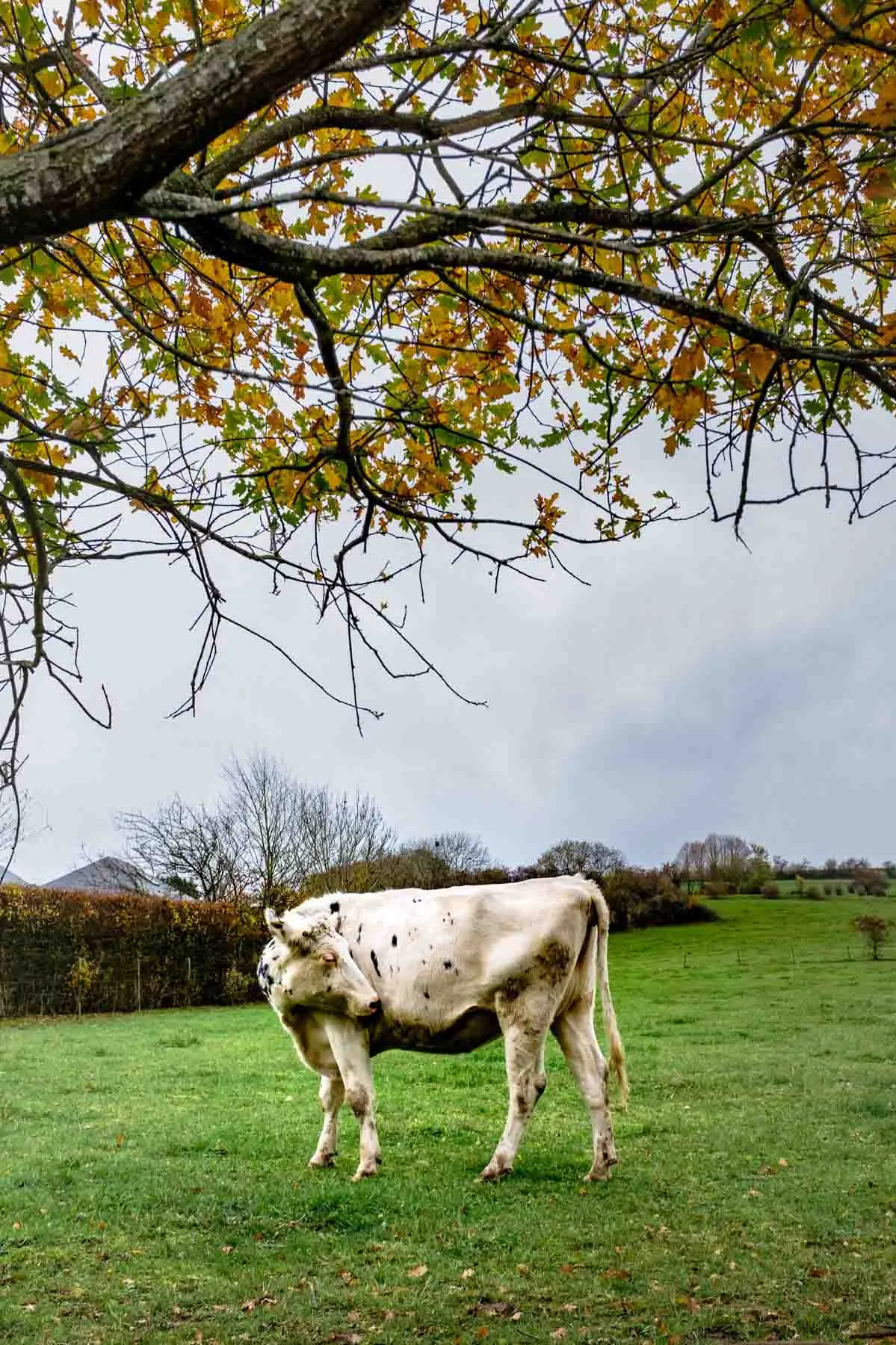 paysages-promenade-hebdomadaire-12