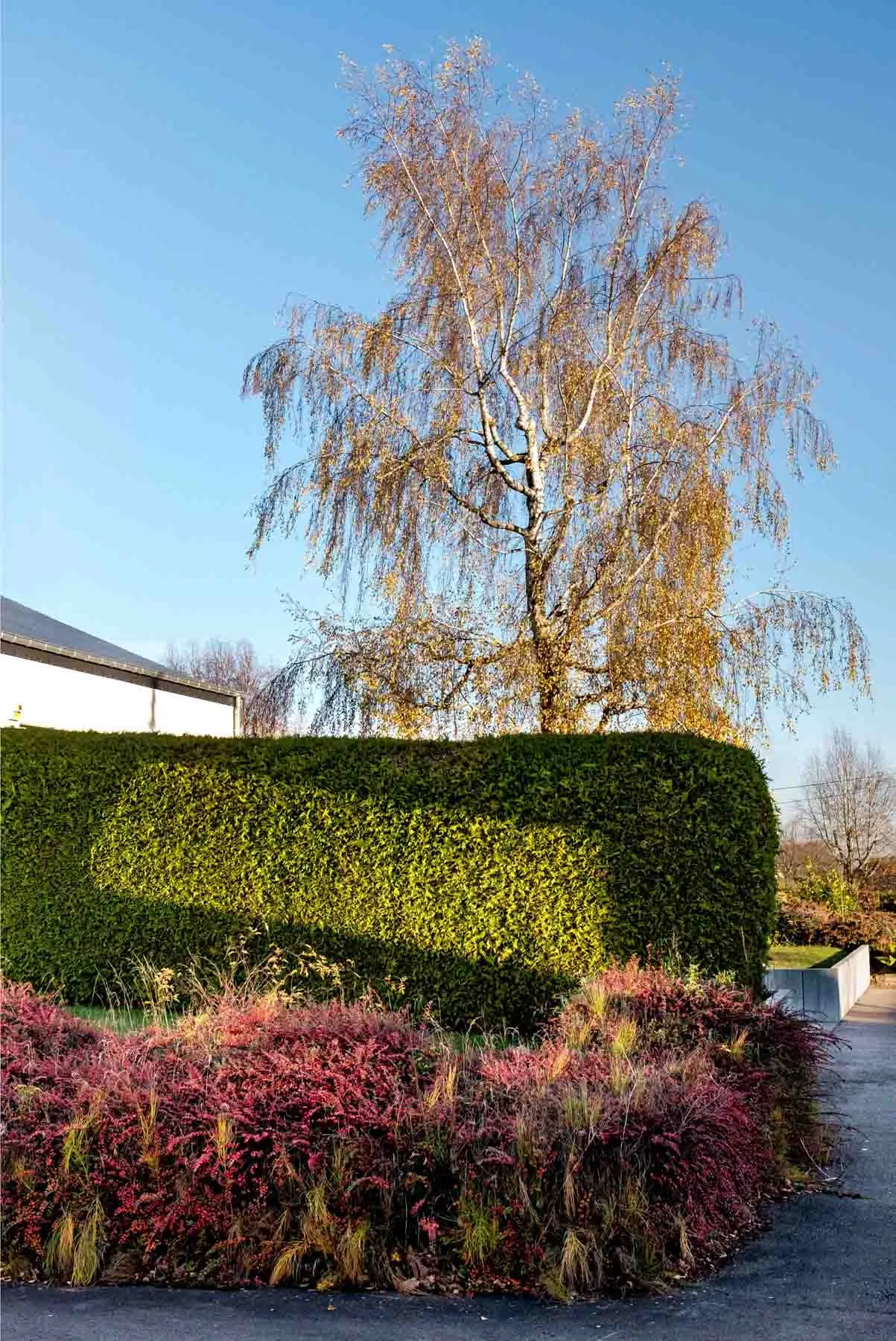 paysages-promenade-hebdomadaire-13