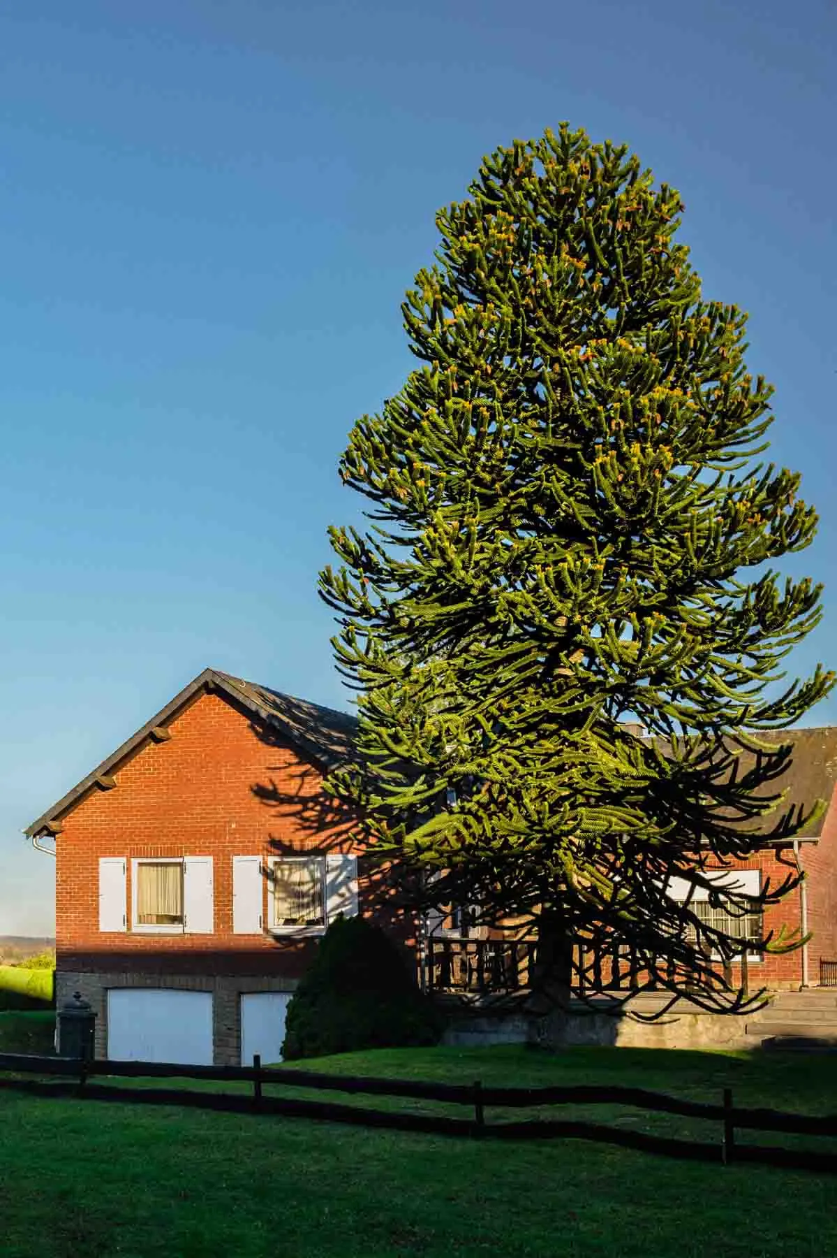 paysages-promenade-hebdomadaire-14