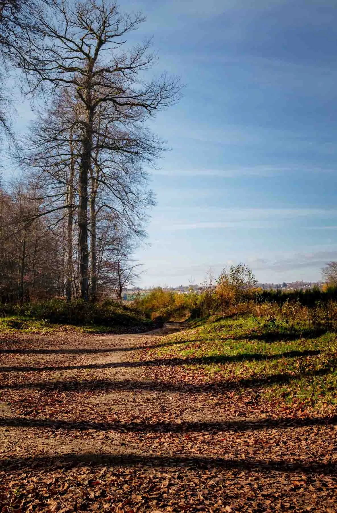 paysages-promenade-hebdomadaire-16