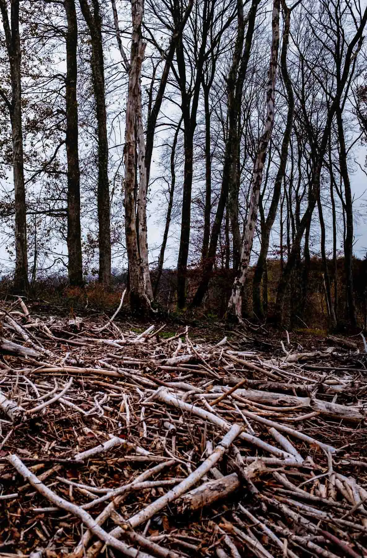 paysages-promenade-hebdomadaire-20