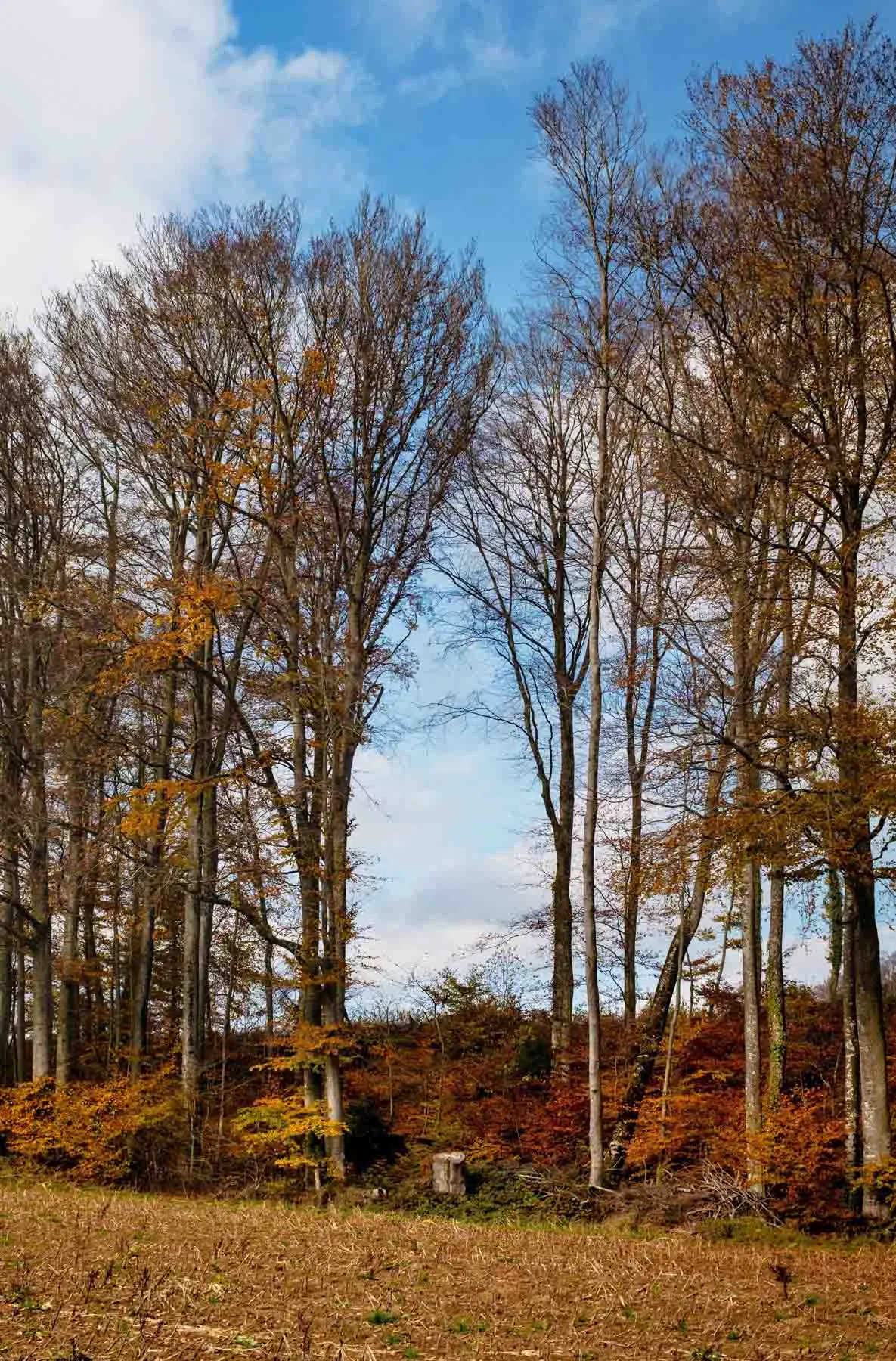 paysages-promenade-hebdomadaire-4