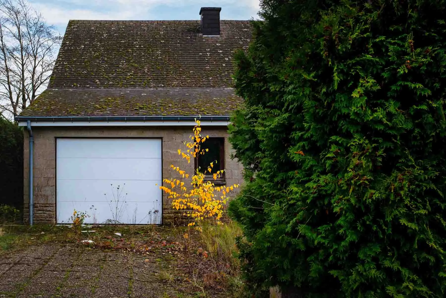 paysages-promenade-hebdomadaire-5