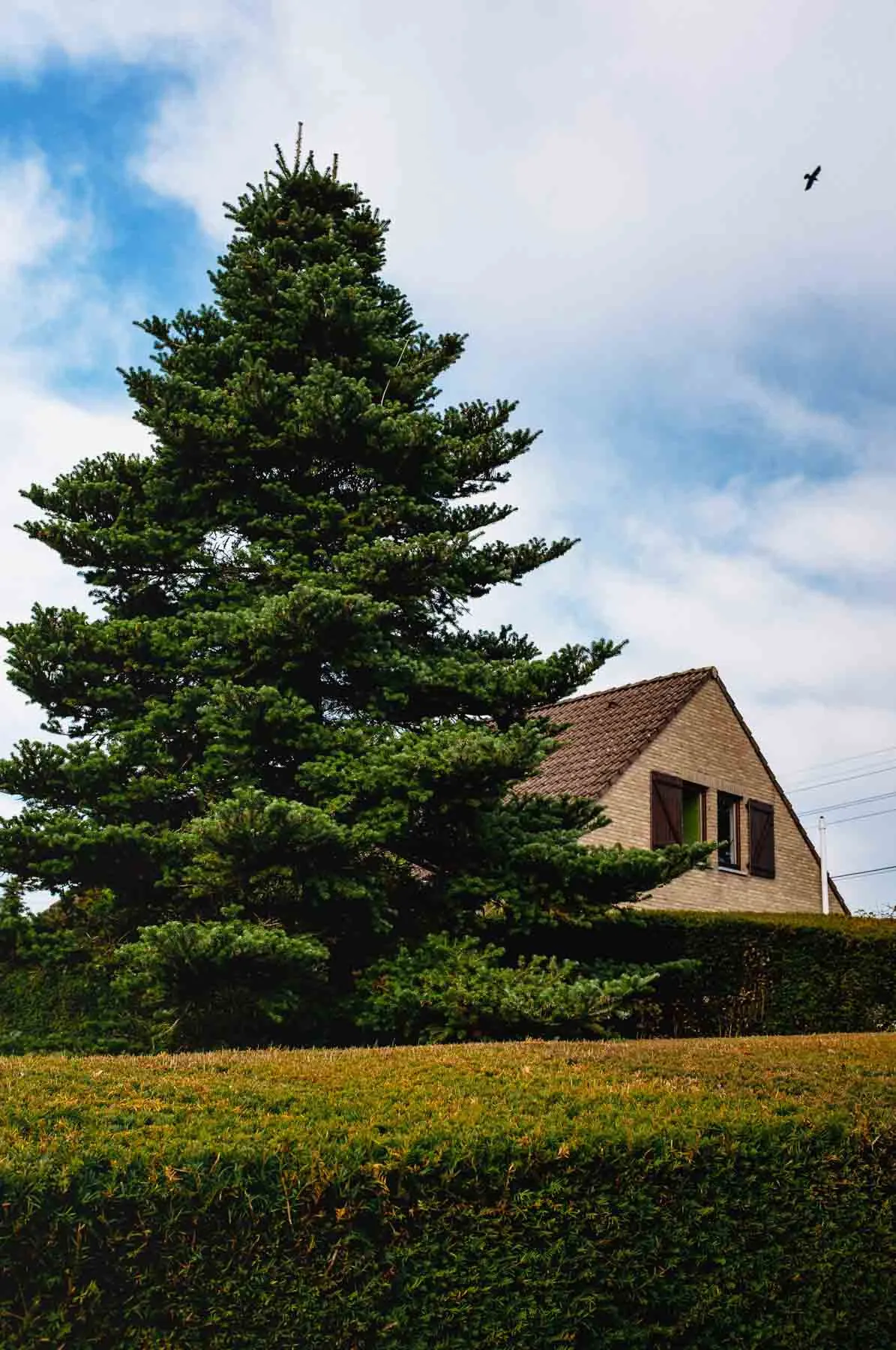 paysages-promenade-hebdomadaire-6