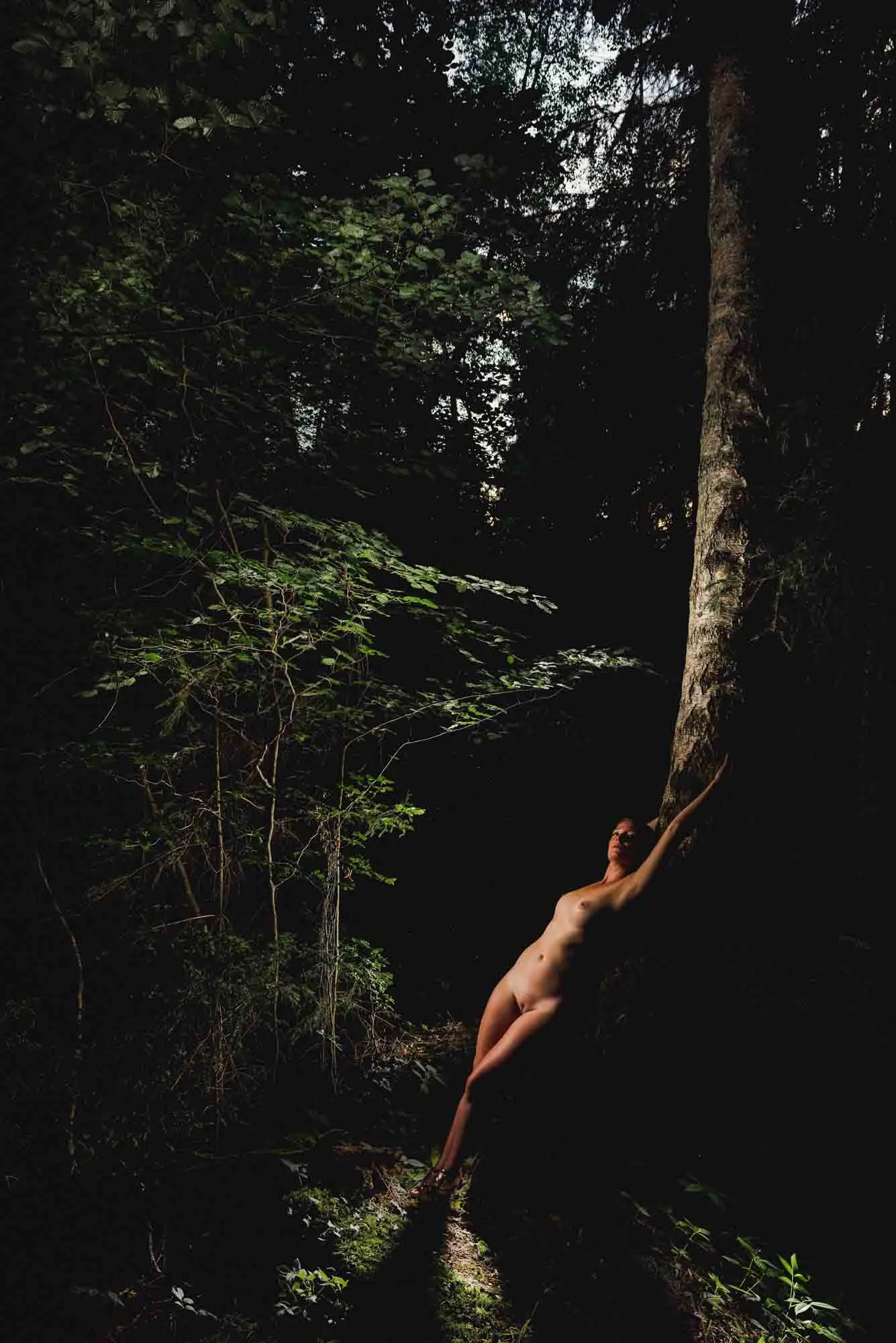 rosa-foret-boudoir-nader-ghavami-photographie-1