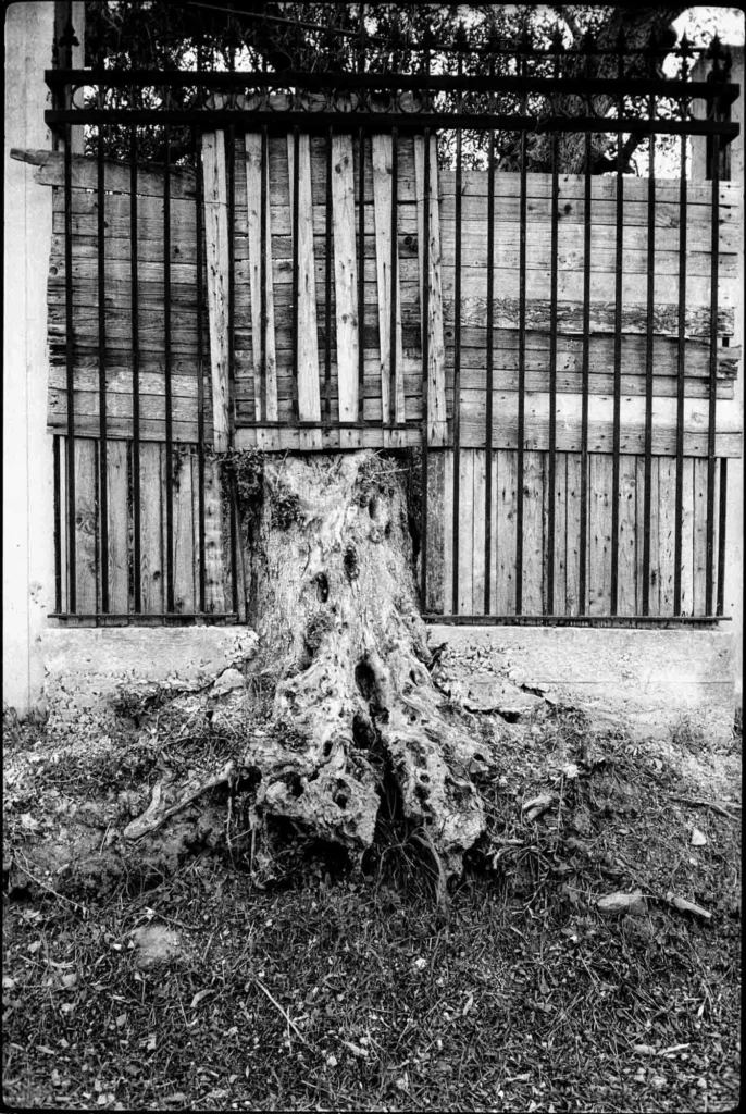 sequences-street-photo-30