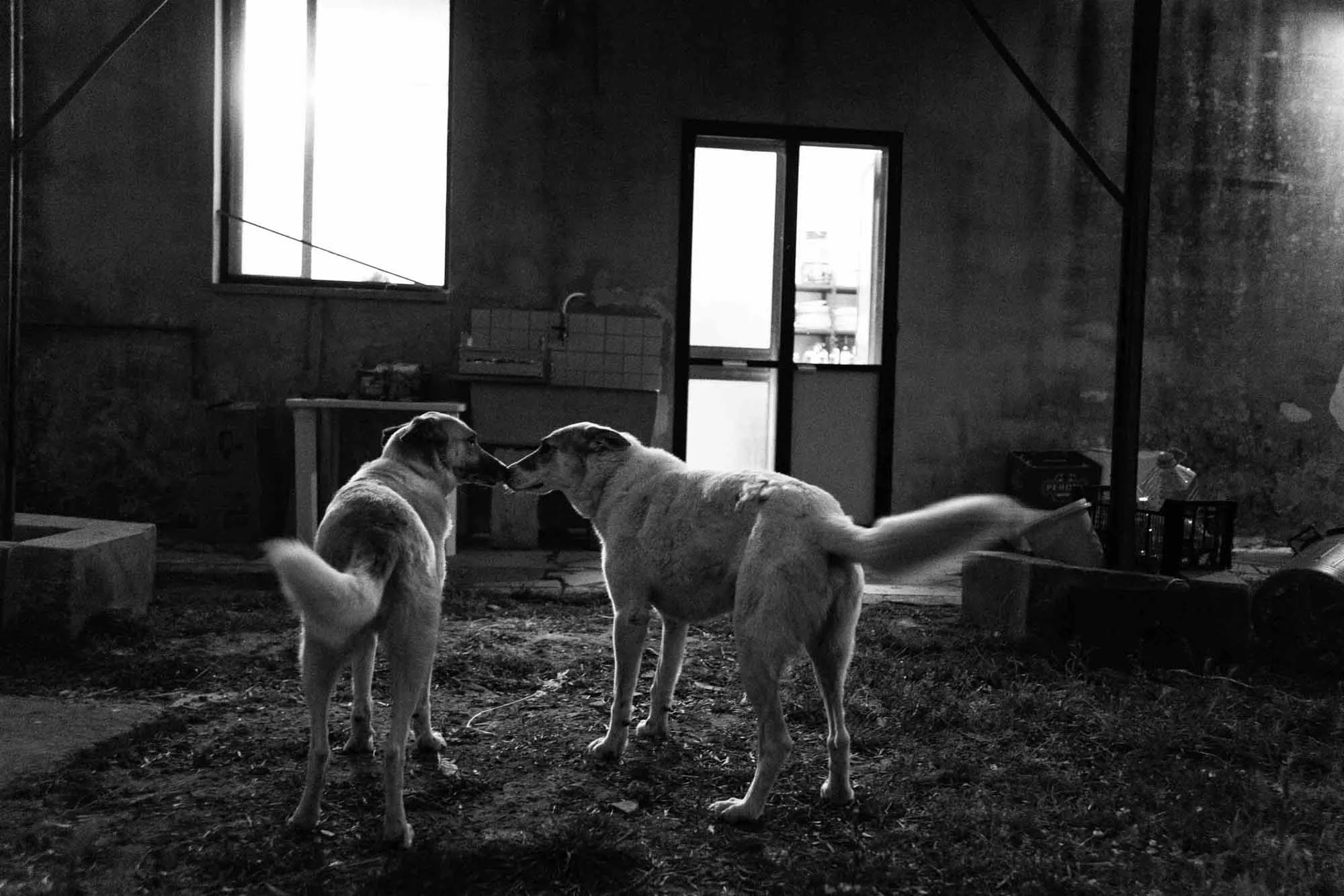 italia-salento-lecce-2019-1