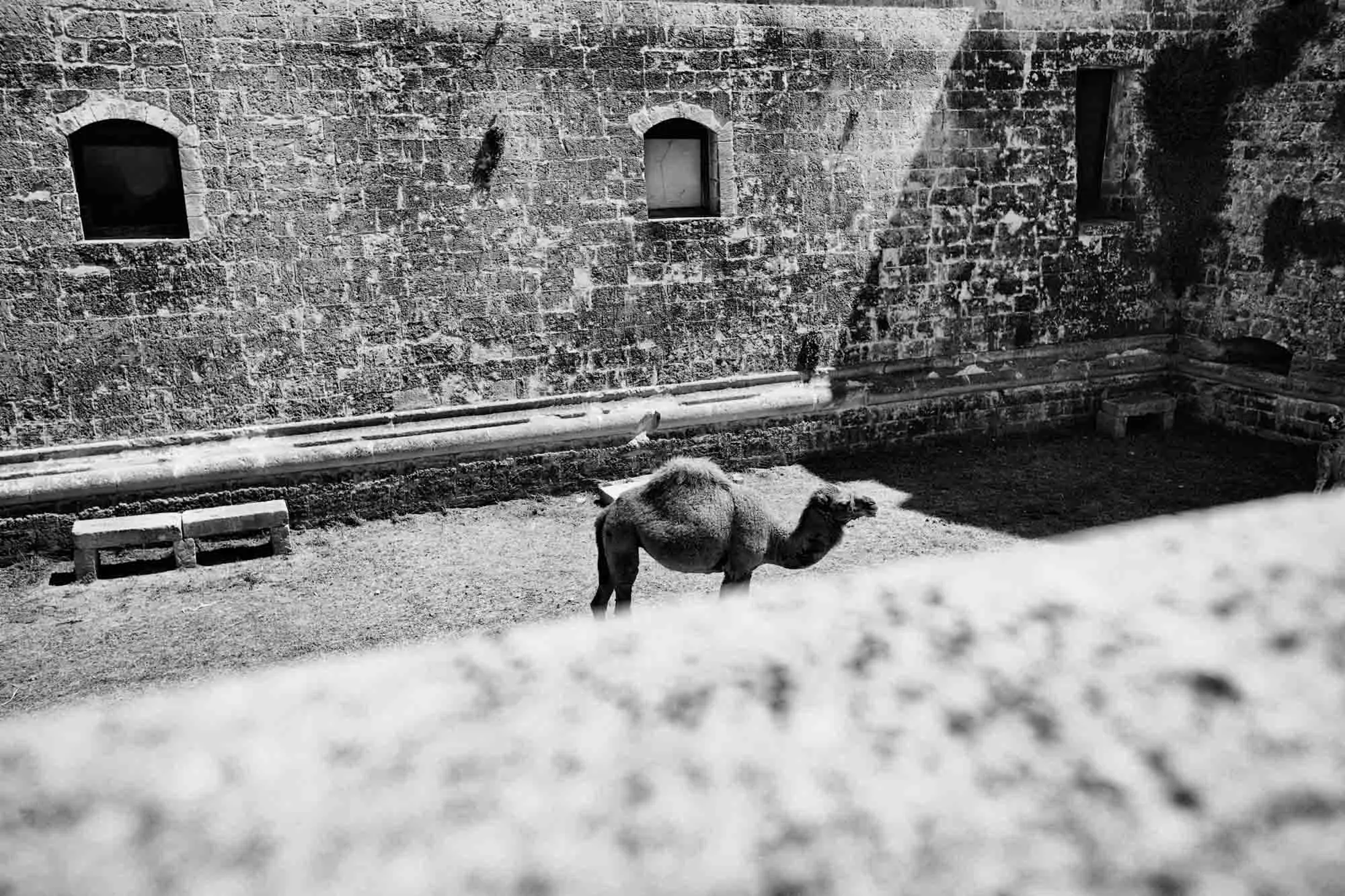 italia-salento-lecce-2019-10