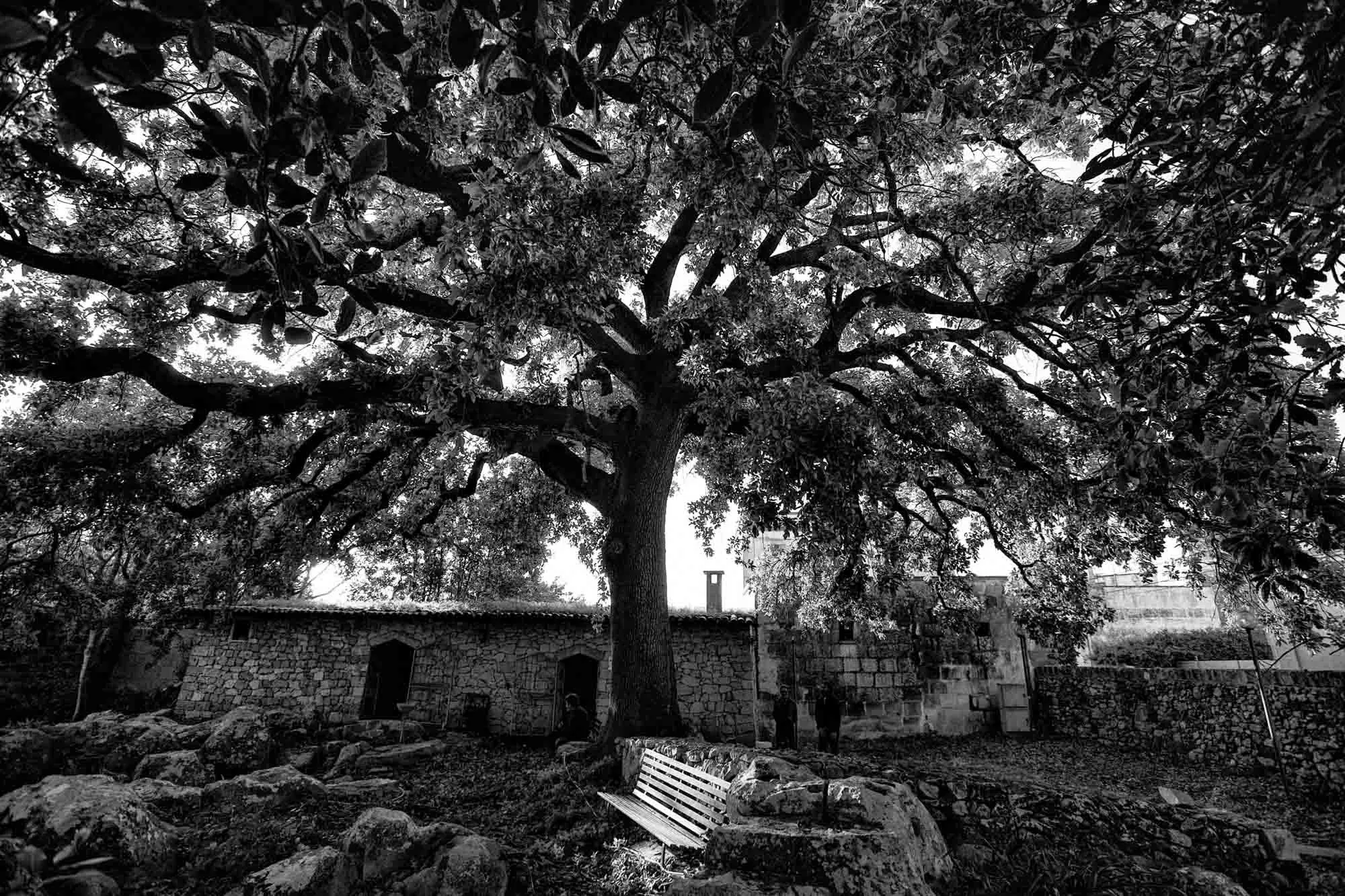 italia-salento-lecce-2019-3