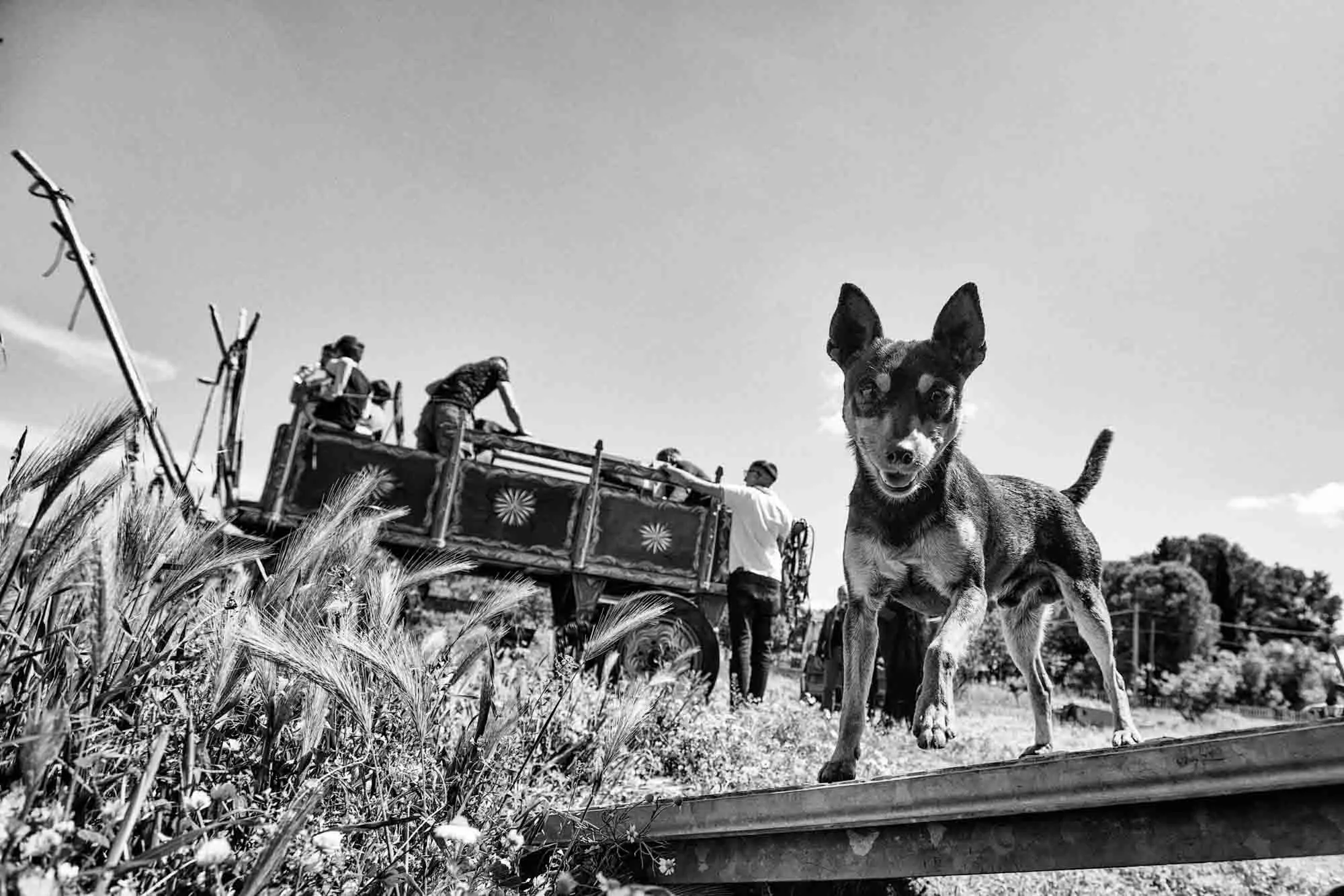 italia-salento-lecce-2019-8