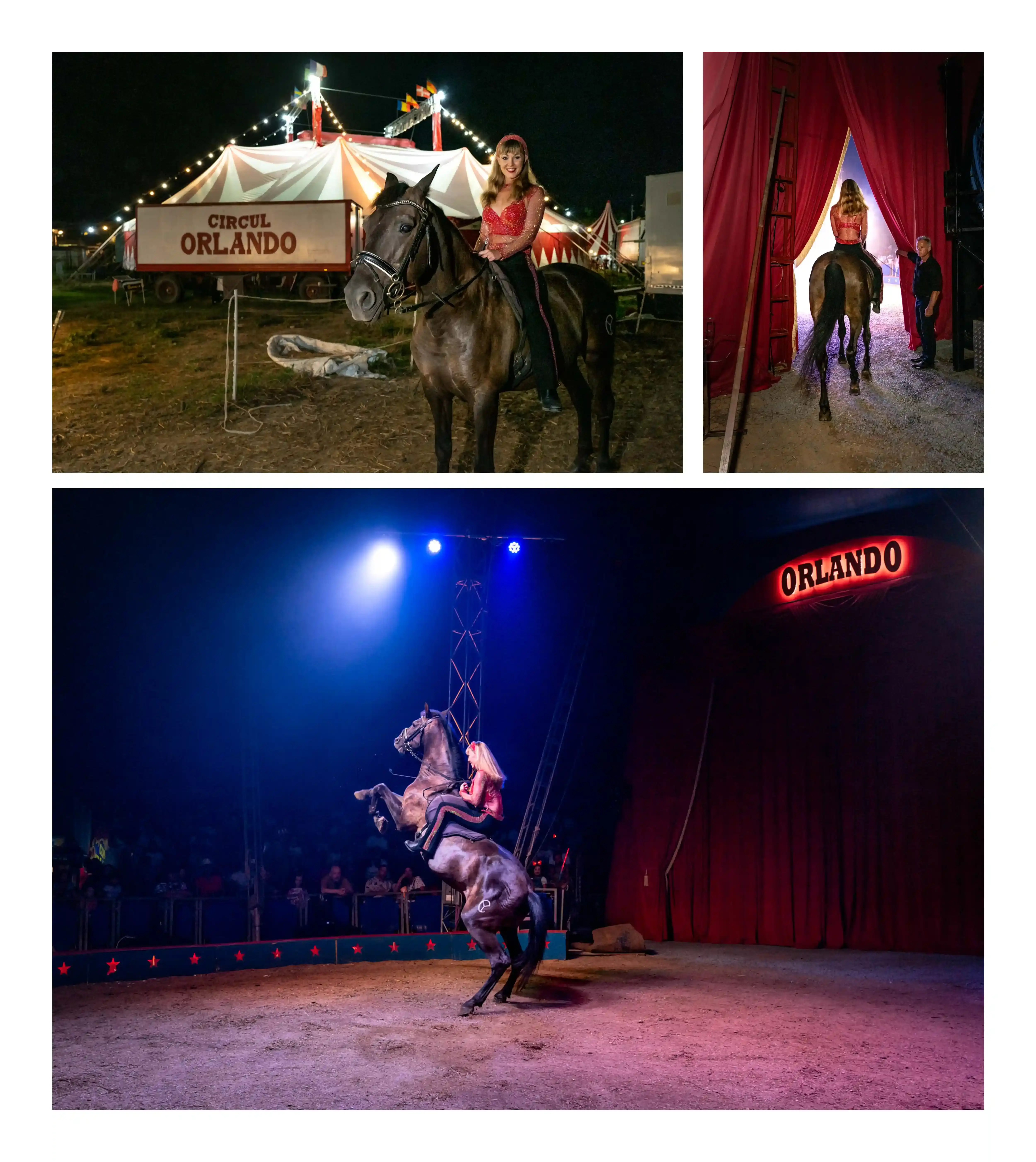 circul-orlando-venus-2024-1