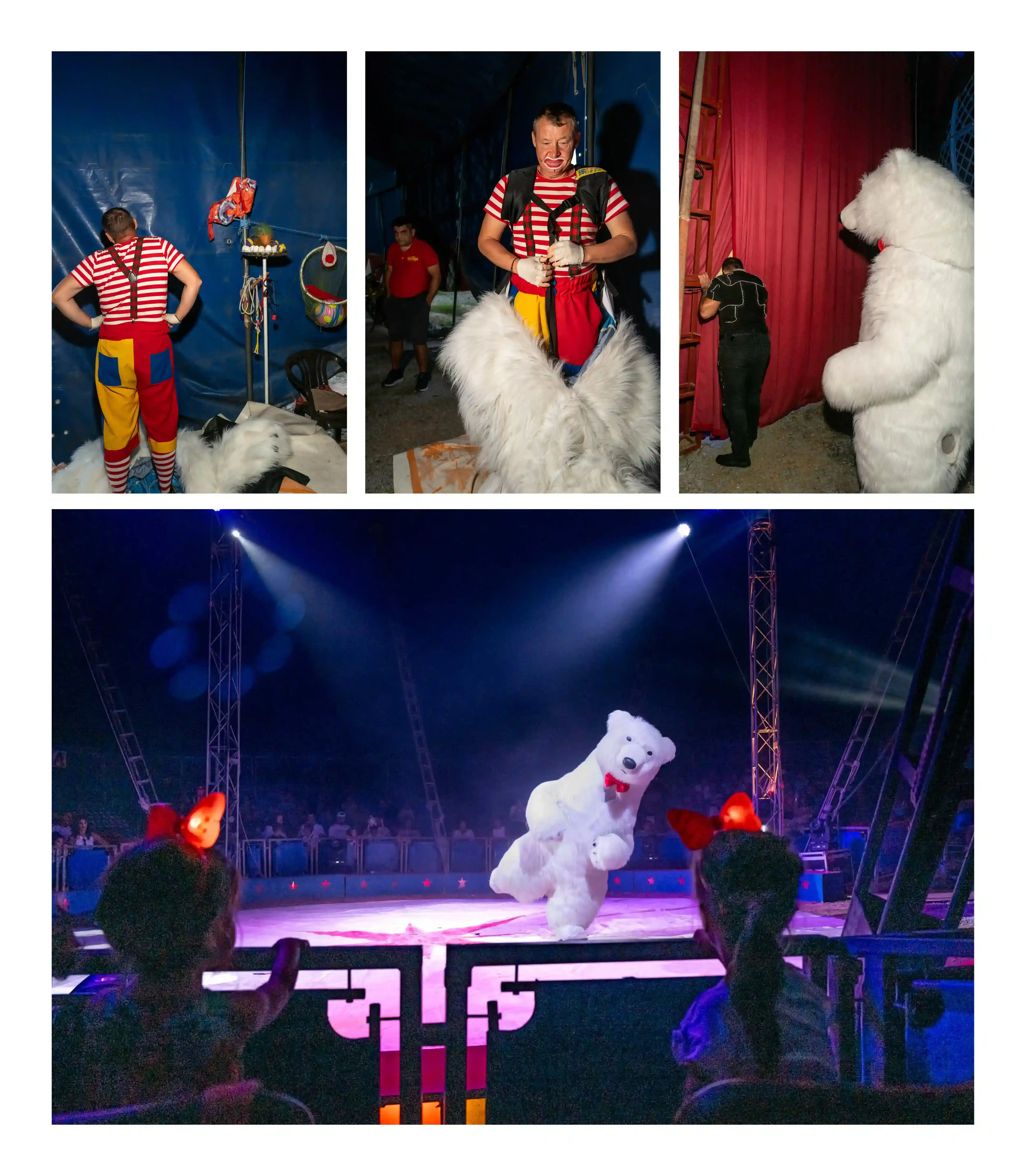 circul-orlando-venus-2024-3