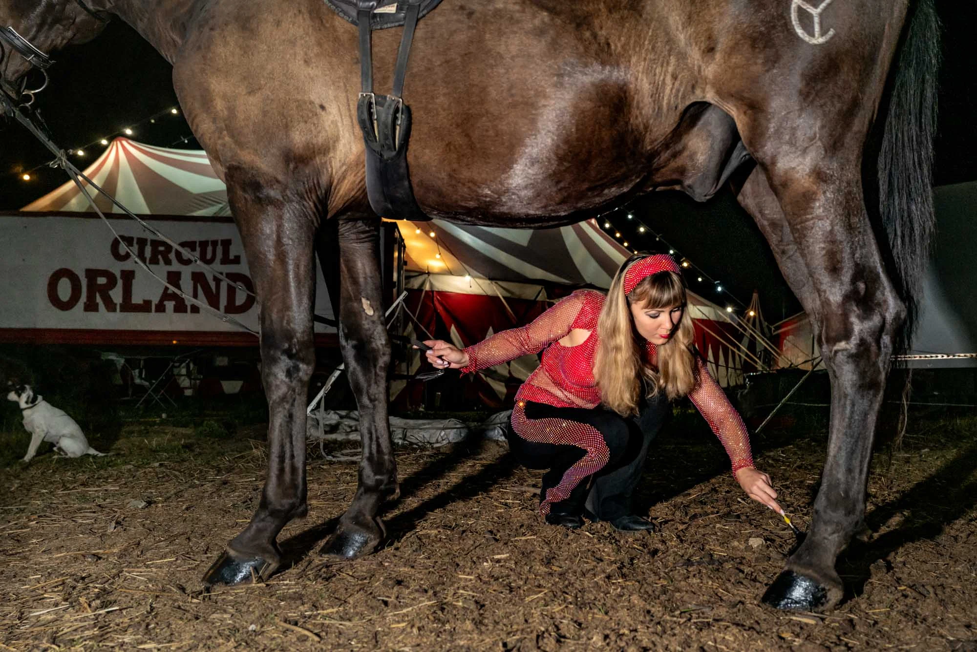 circul-orlando-venus-2024-quotidien-23