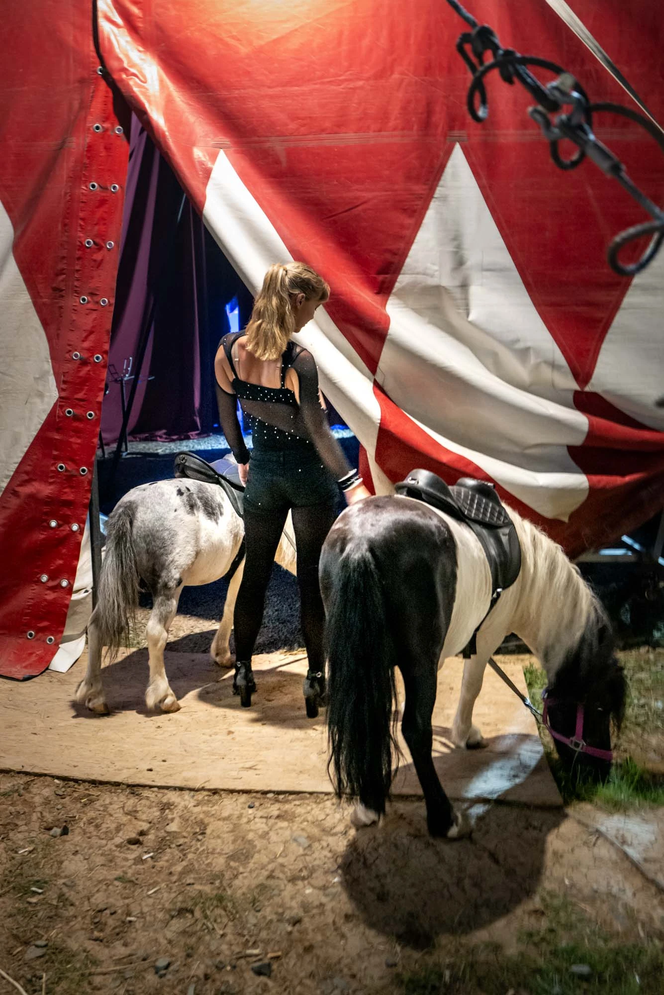 circul-orlando-venus-2024-quotidien-3