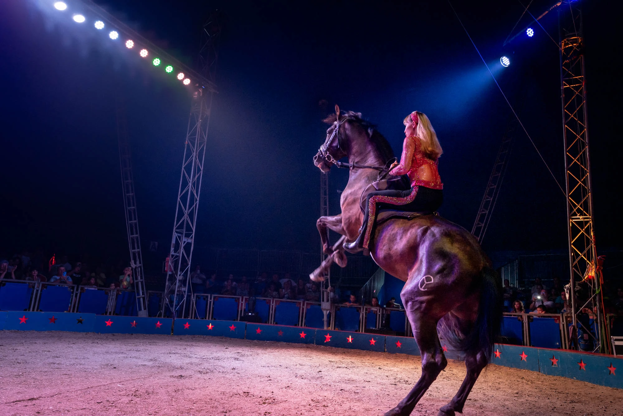 circul-orlando-venus-2024-spectacle-8