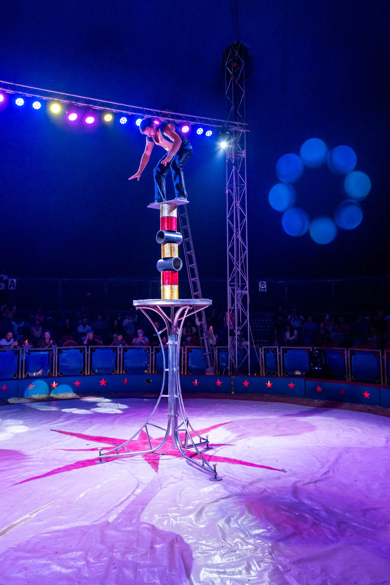 circul-orlando-venus-2024-spectacle-9