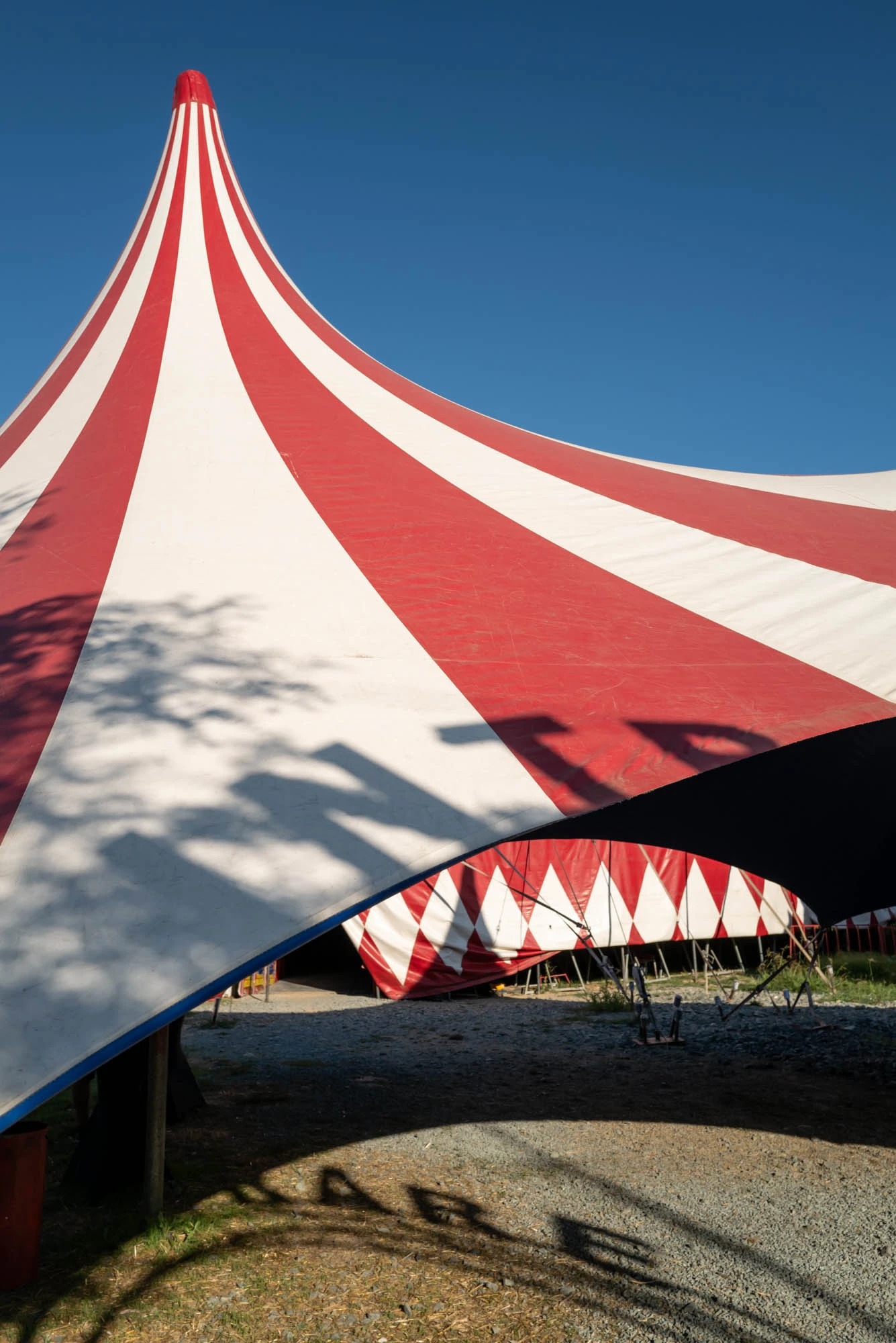 circul-orlando-venus-2024-structure-5